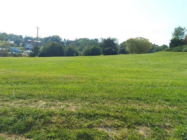 21. Land for Sale at tbd N LEE HWY Fairfield, Virginia 24435 United States