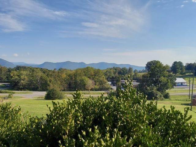 23. Land for Sale at tbd N LEE HWY Fairfield, Virginia 24435 United States