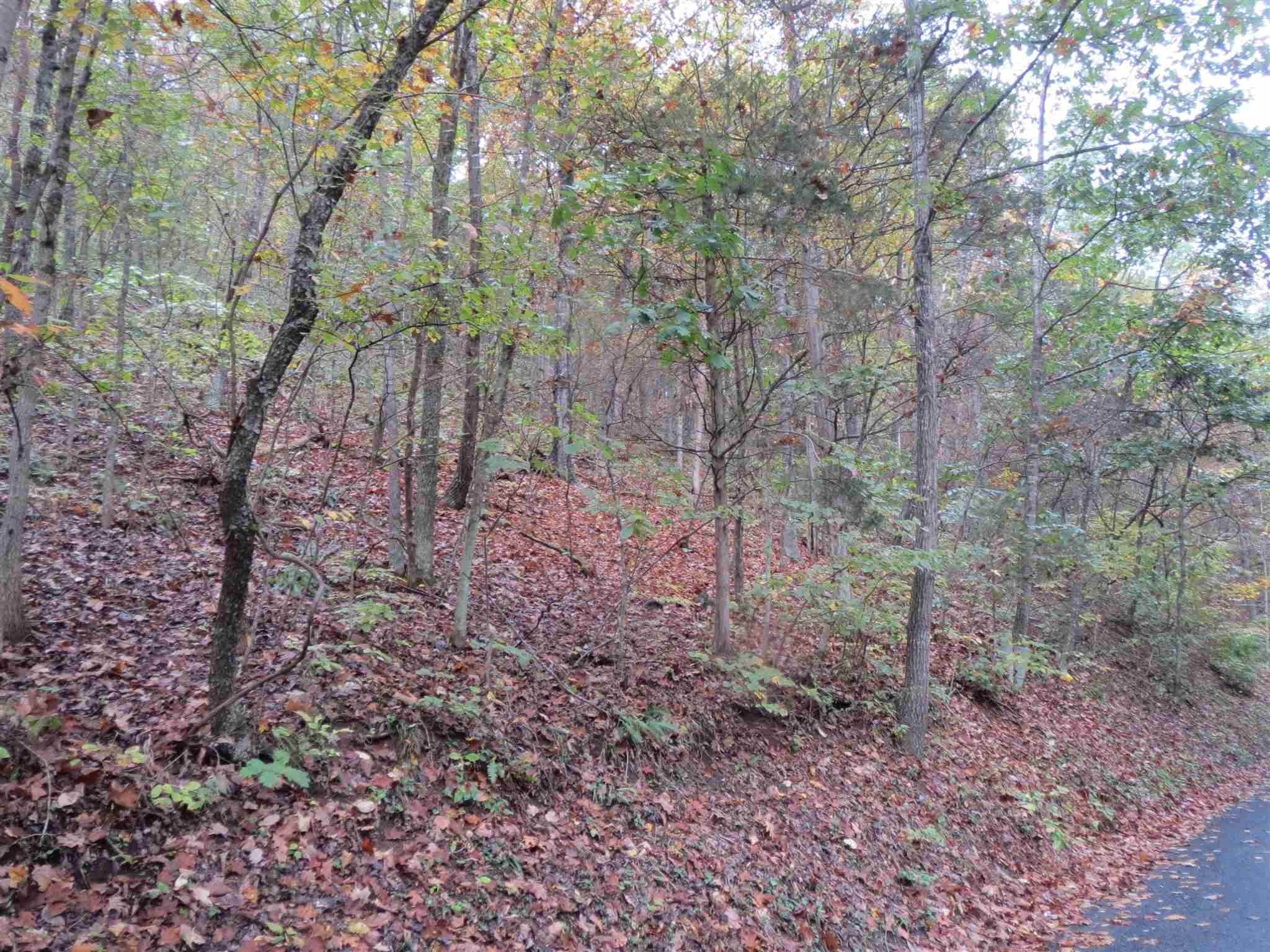 4. Land for Sale at STONEWALL Drive Basye, Virginia 22810 United States