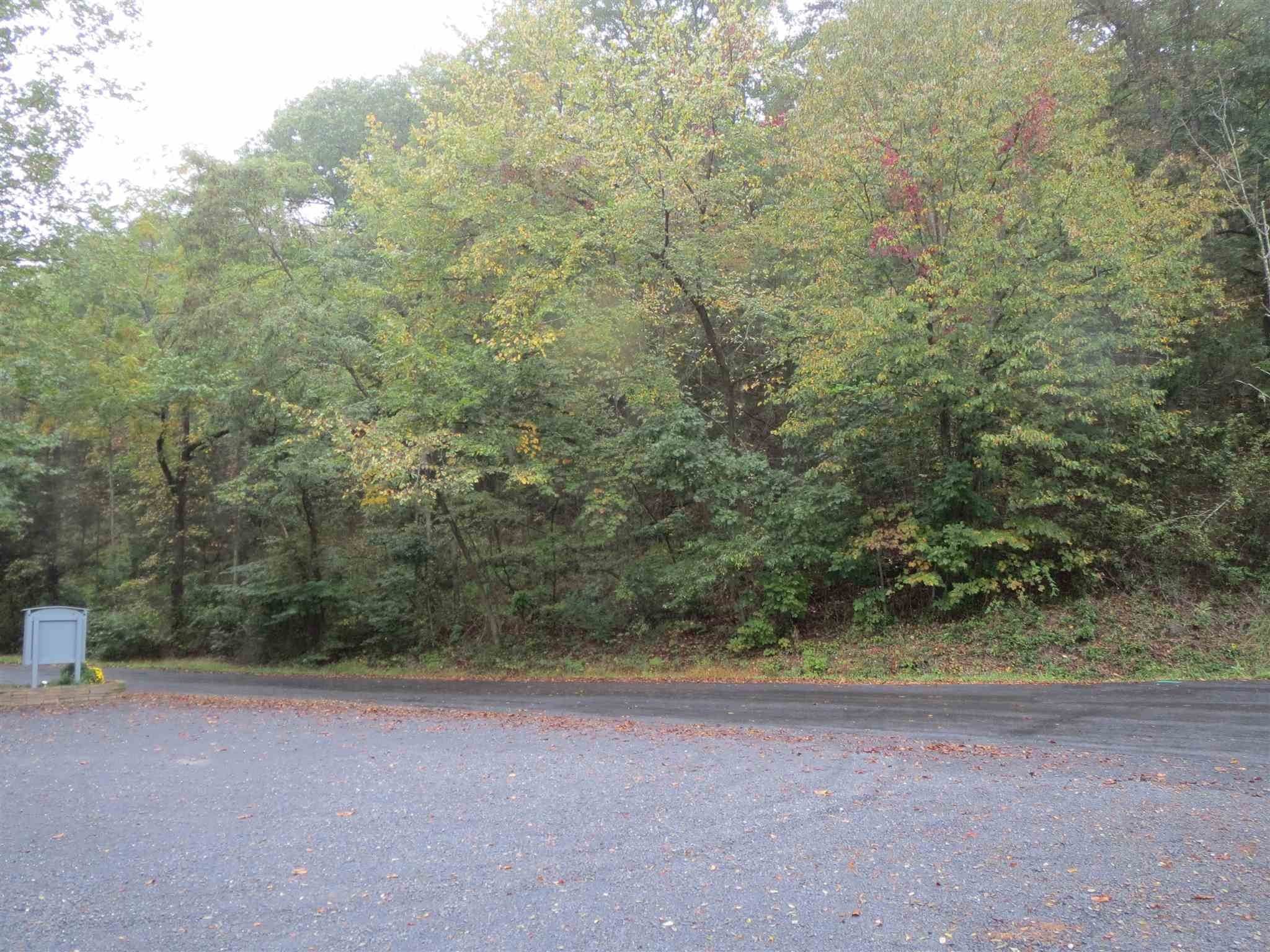 2. Land for Sale at STONEWALL Drive Basye, Virginia 22810 United States