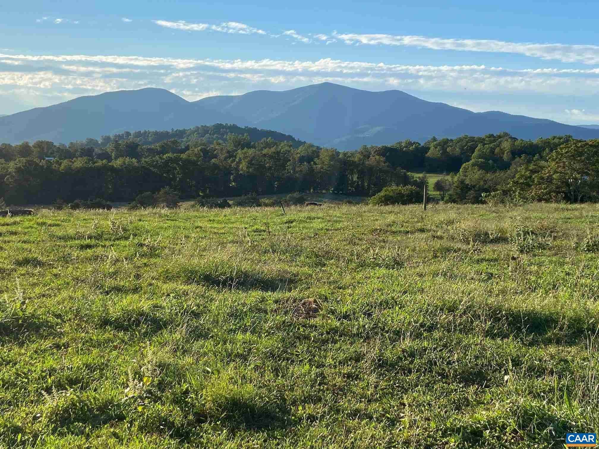 45. Land for Sale at 673 EAST BRANCH LOOP Roseland, Virginia 22967 United States
