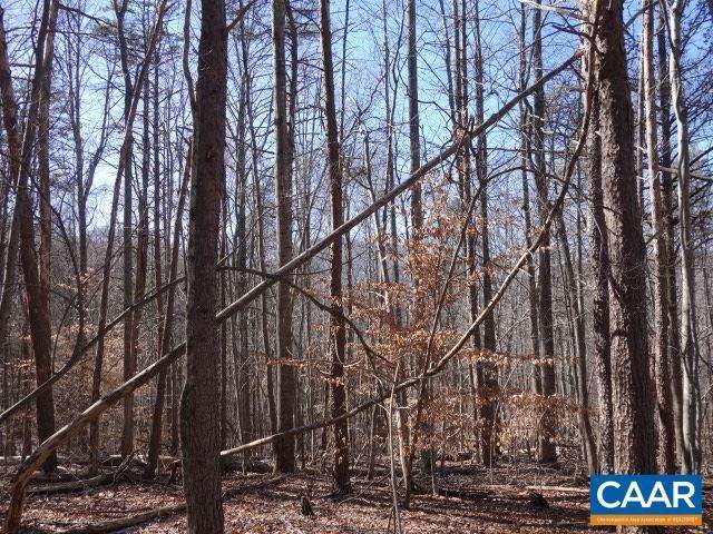 3. Land for Sale at 42 DOGWOOD Lane Nellysford, Virginia 22958 United States