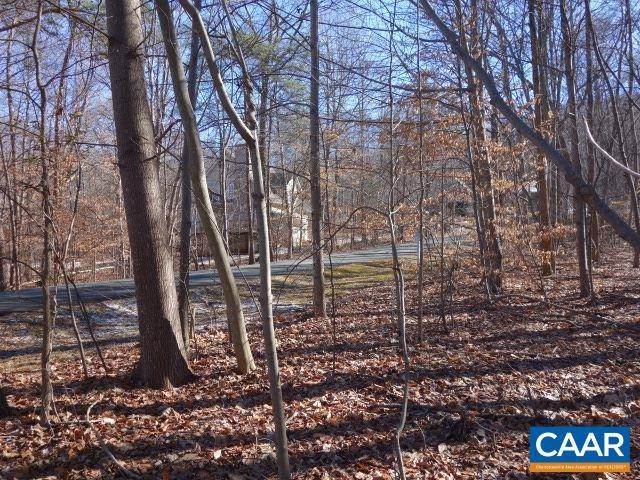 5. Land for Sale at 42 DOGWOOD Lane Nellysford, Virginia 22958 United States