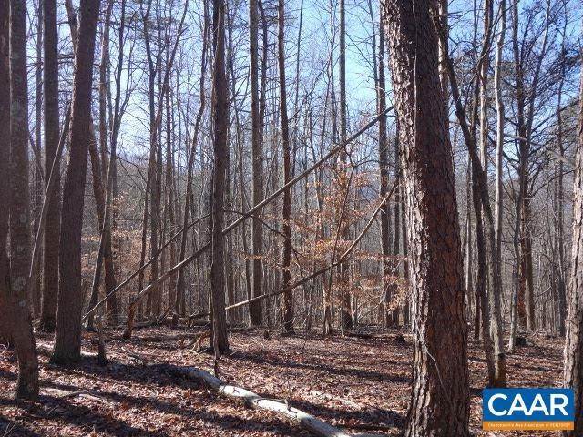 6. Land for Sale at 42 DOGWOOD Lane Nellysford, Virginia 22958 United States