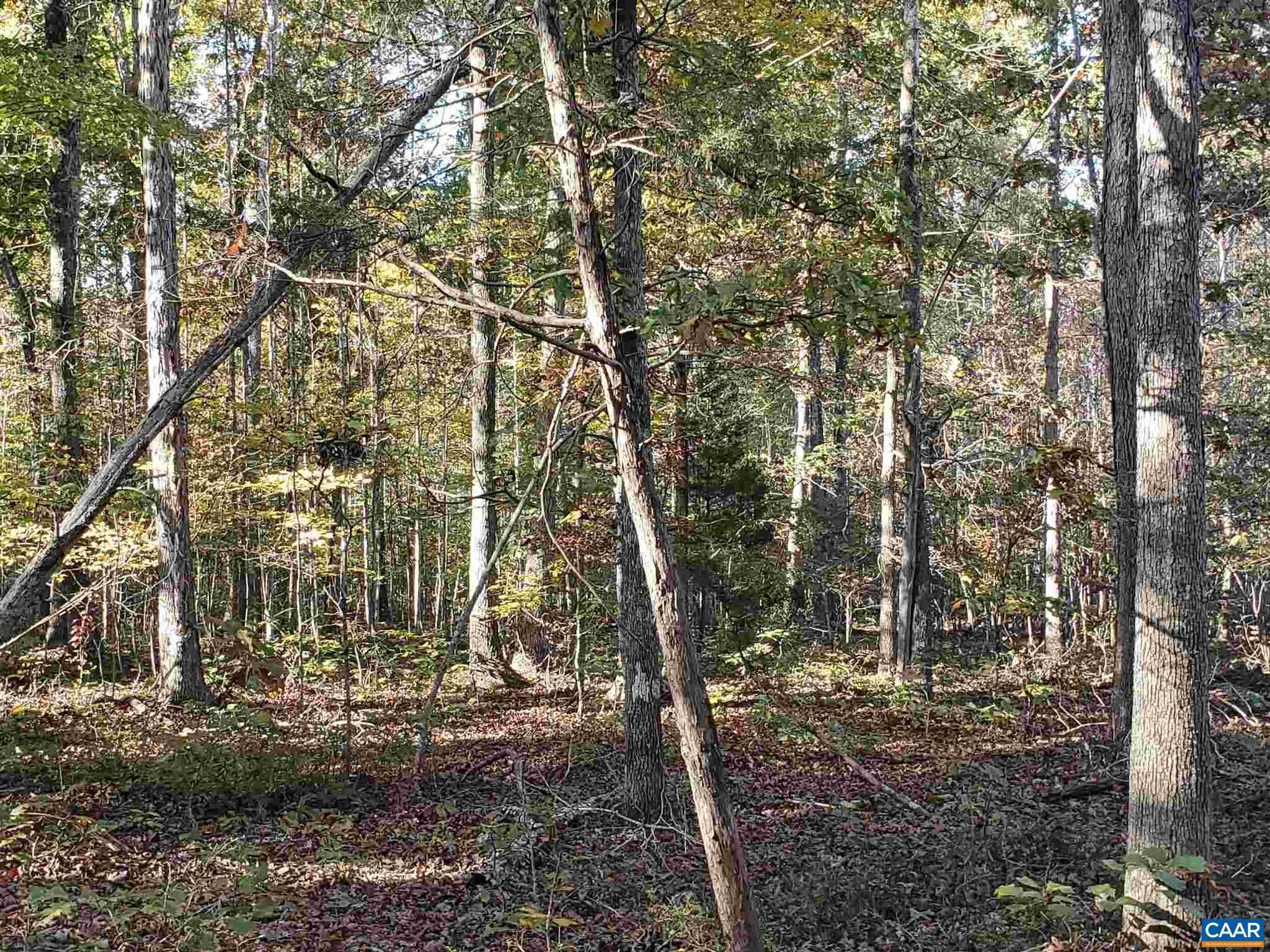 9. Land for Sale at FLINT Place Louisa, Virginia 23093 United States