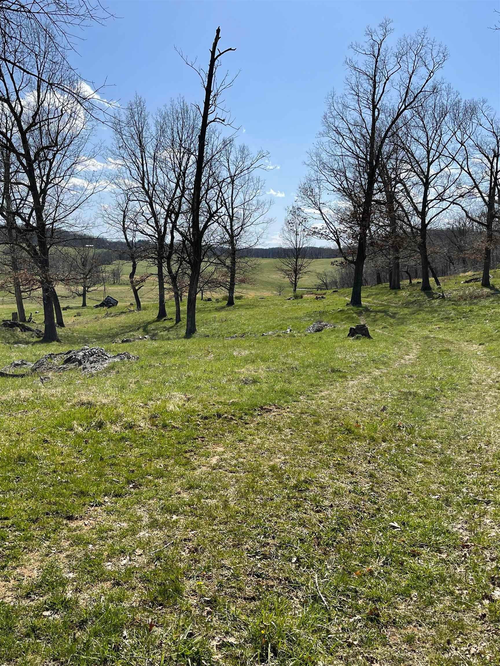 15. Land for Sale at TBD OLD WHITE HILL Road Stuarts Draft, Virginia 24477 United States
