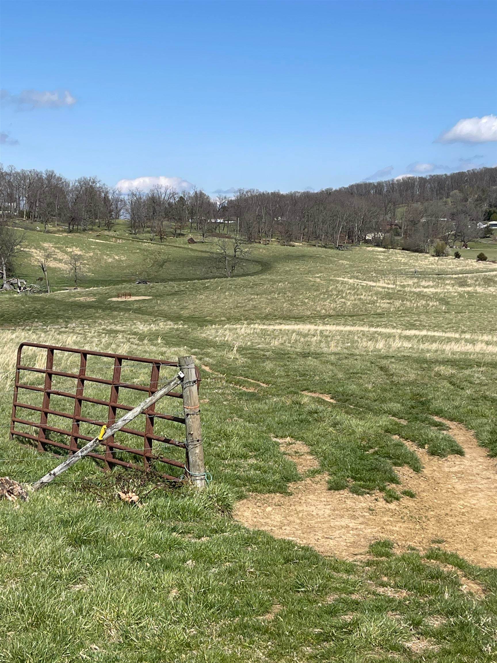 10. Land for Sale at TBD OLD WHITE HILL Road Stuarts Draft, Virginia 24477 United States