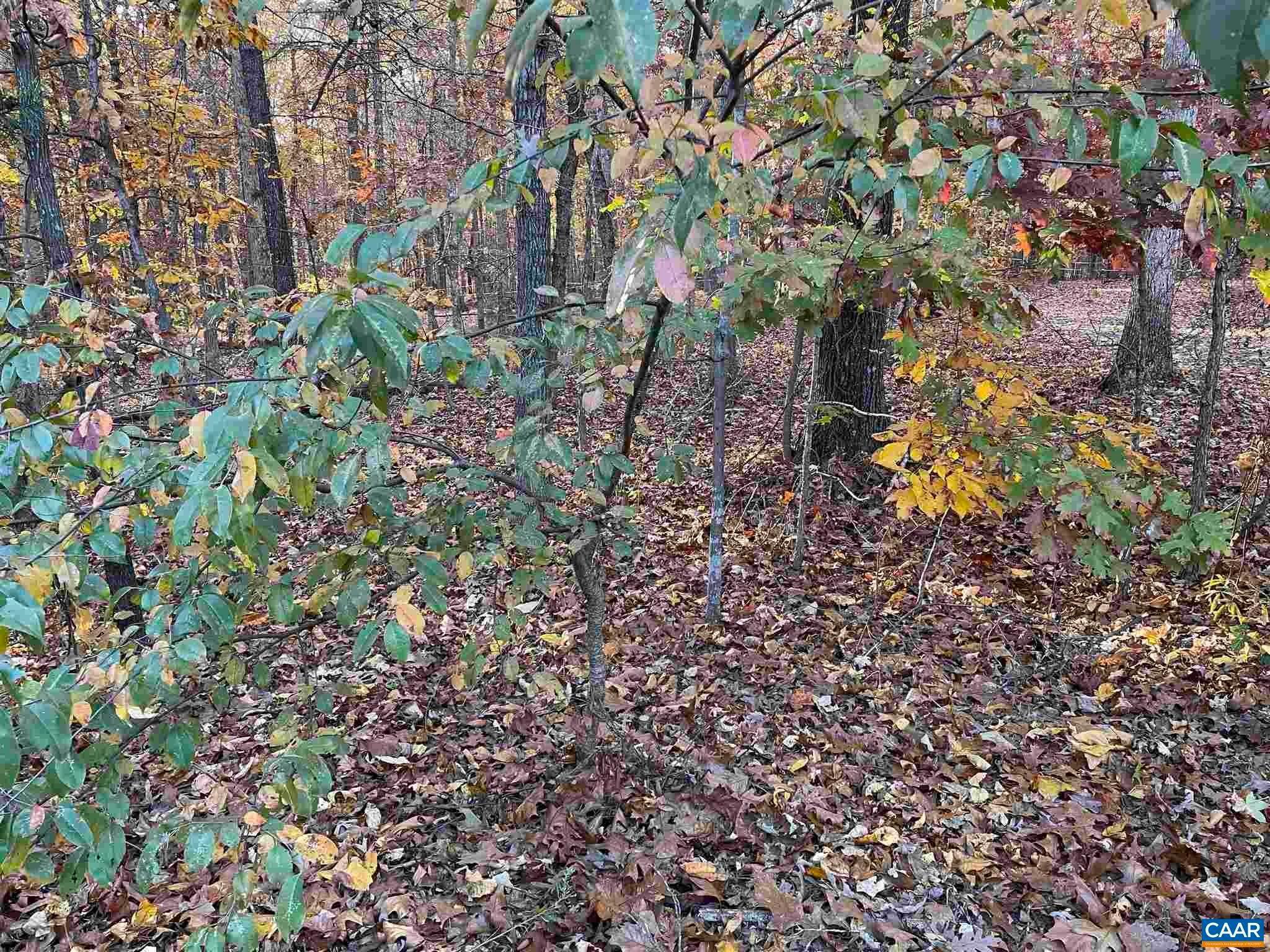 5. Land for Sale at 19 CHICKASAW Place Palmyra, Virginia 22963 United States