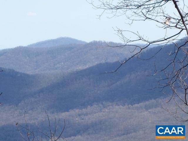Land for Sale at 12 BRYANT MOUNTAIN Road Roseland, Virginia 22967 United States