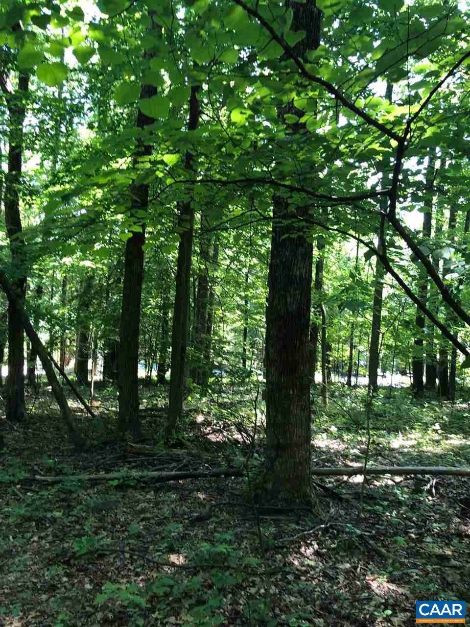 4. Land for Sale at 55 SADDLEBACK KNL Nellysford, Virginia 22958 United States