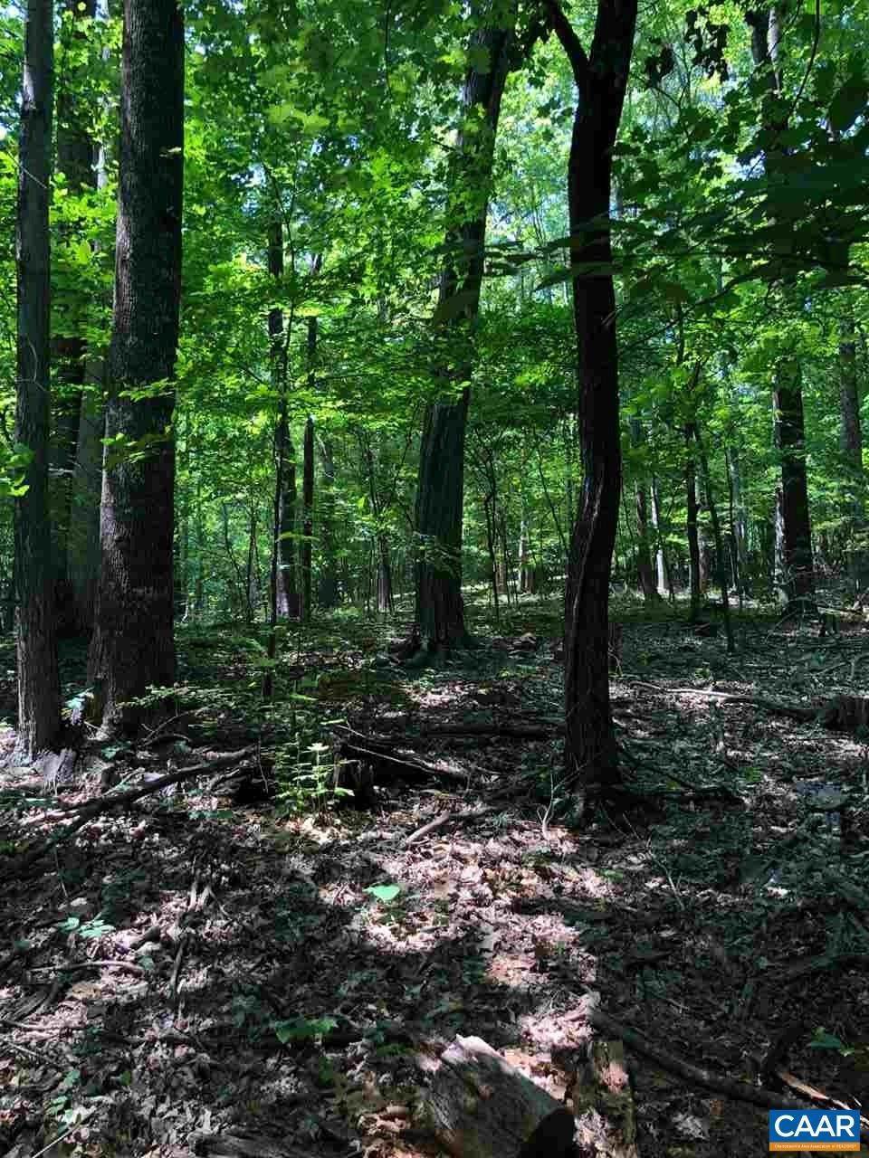 8. Land for Sale at 55 SADDLEBACK KNL Nellysford, Virginia 22958 United States