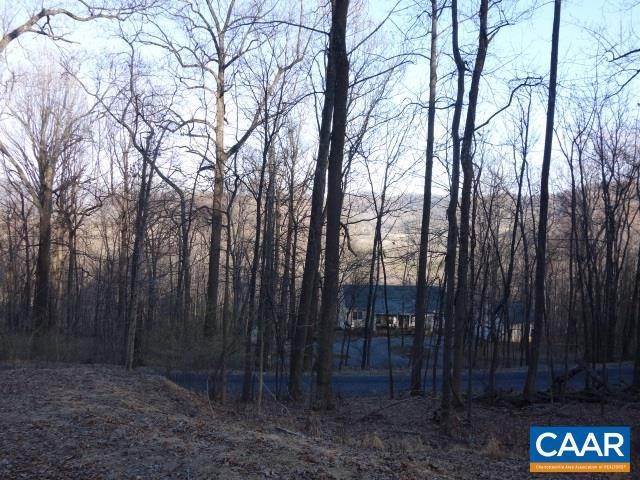 6. Land for Sale at 41 TREE HOUSE Place Nellysford, Virginia 22958 United States
