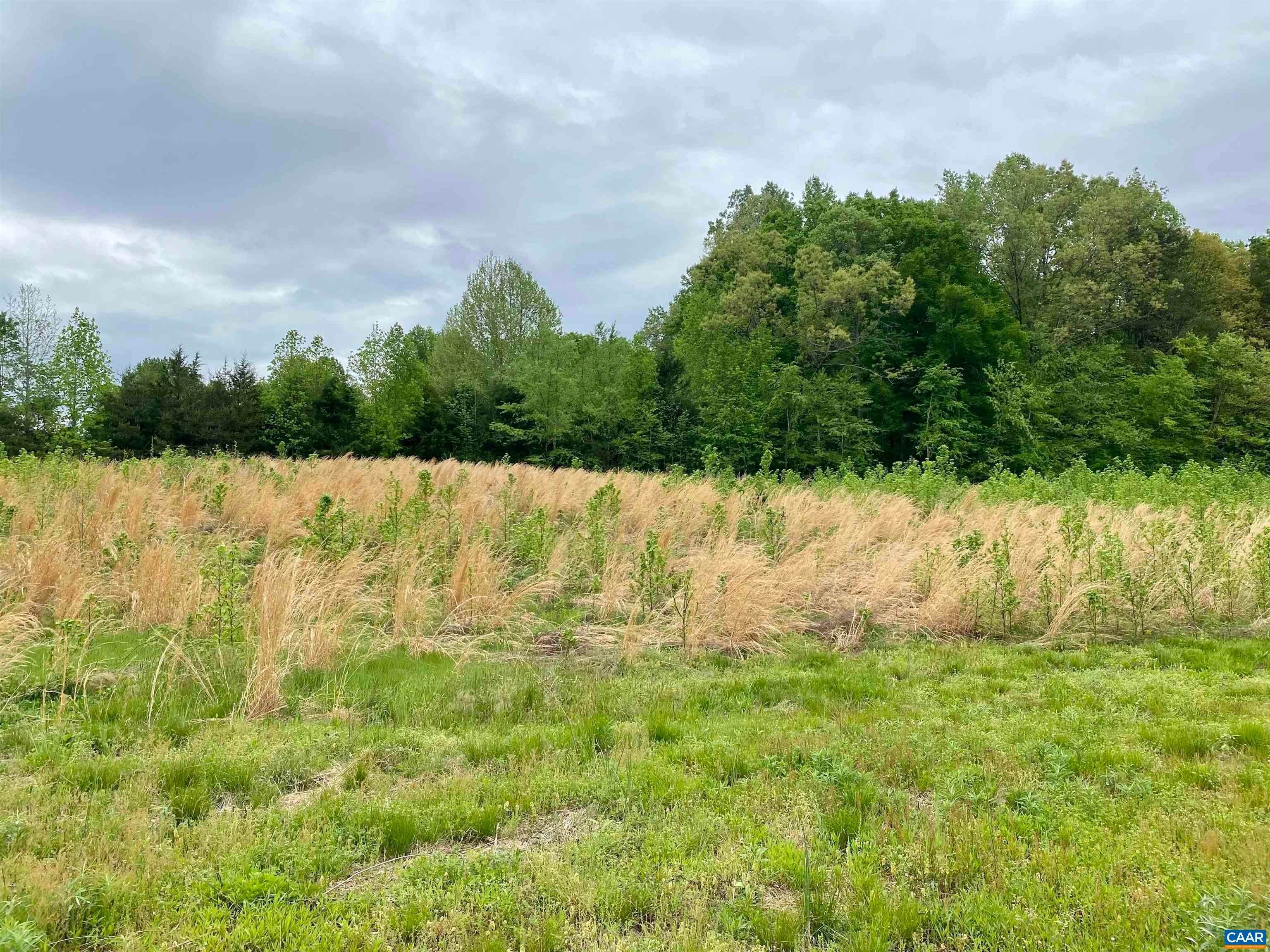 10. Land for Sale at GARDNERS Road Mineral, Virginia 23117 United States
