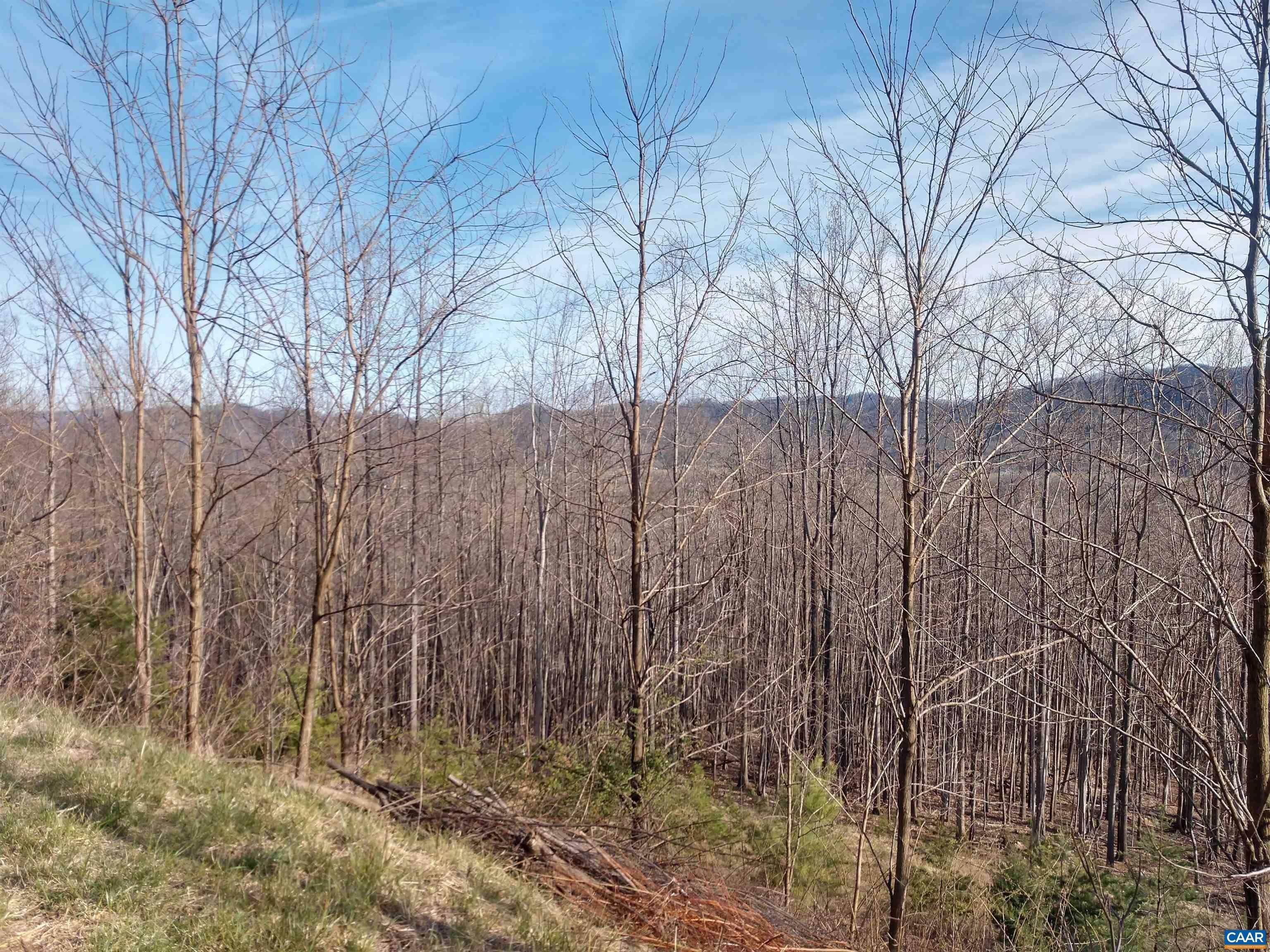 17. Land for Sale at ROCKFISH HEIGHTS Lane Nellysford, Virginia 22958 United States
