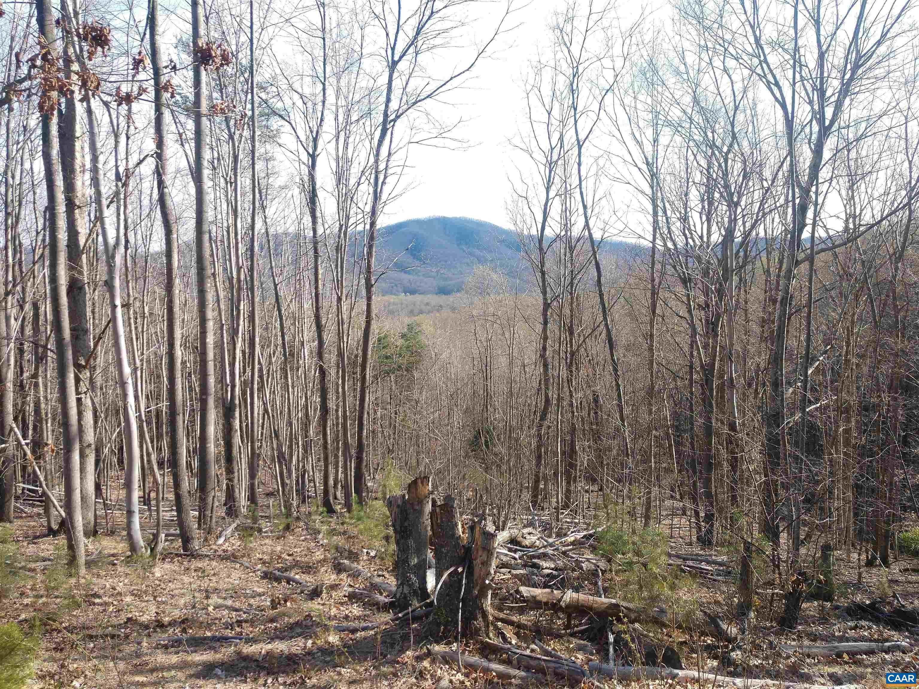 29. Land for Sale at ROCKFISH HEIGHTS Lane Nellysford, Virginia 22958 United States