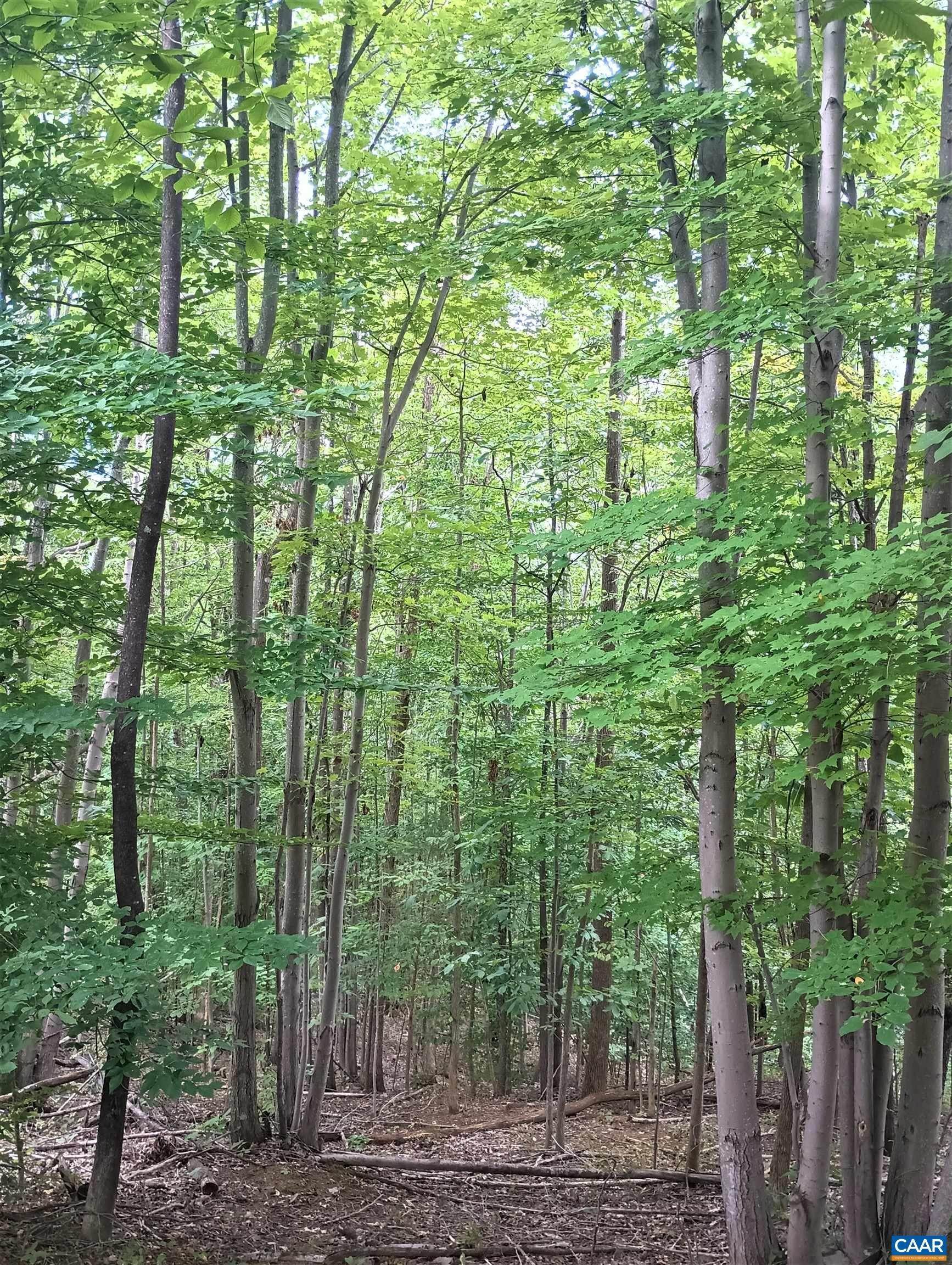 5. Land for Sale at ROCKFISH HEIGHTS Lane Nellysford, Virginia 22958 United States