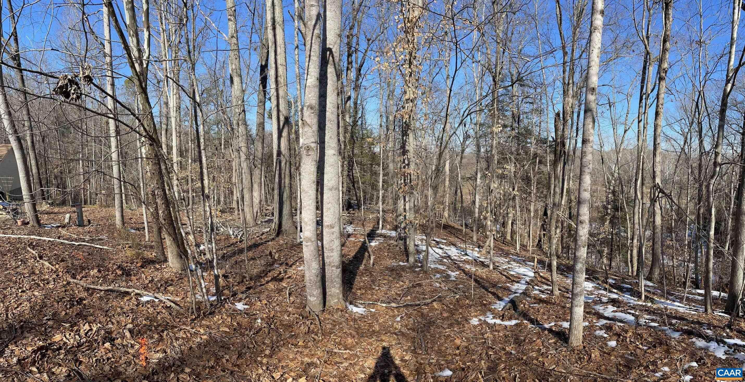5. Land for Sale at 14 MECHUNK TER Palmyra, Virginia 22963 United States