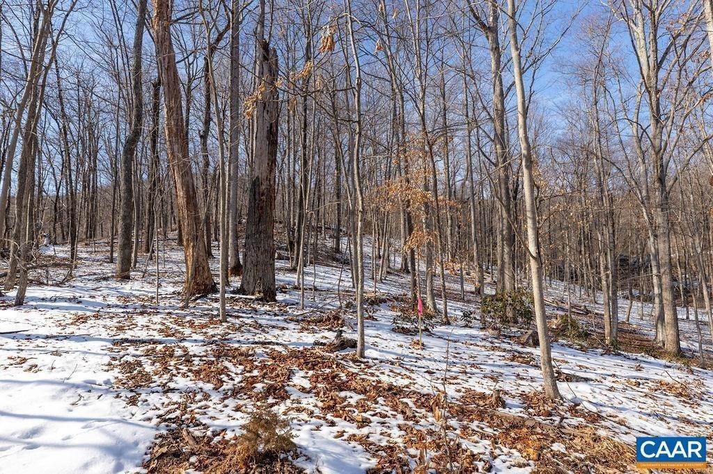 2. Land for Sale at 281 WOOD HOUSE Lane Nellysford, Virginia 22958 United States