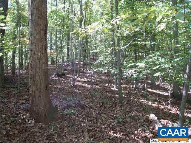 39. Land for Sale at 281 WOOD HOUSE Lane Nellysford, Virginia 22958 United States