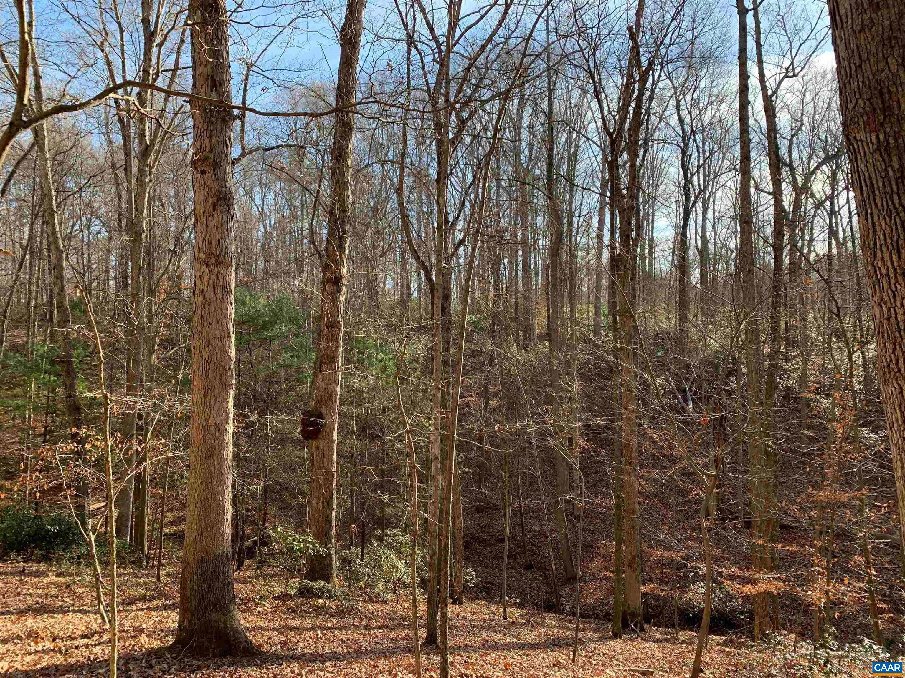 2. Land for Sale at LAMBS Road Charlottesville, Virginia 22901 United States
