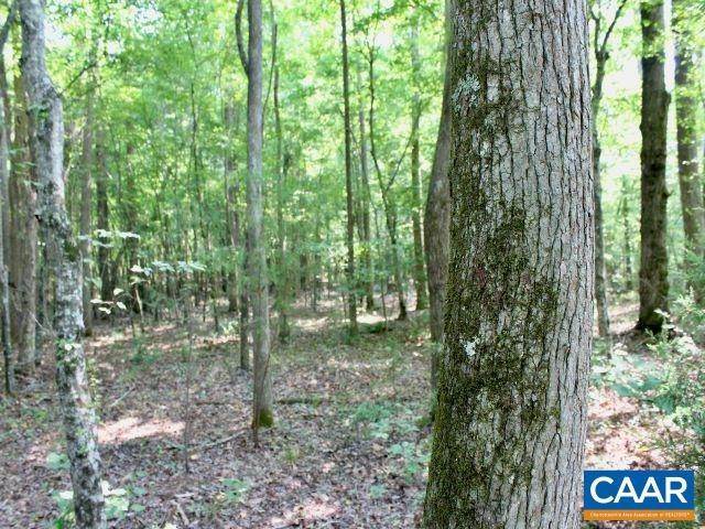 19. Land for Sale at 79 JENNINGS Road Cartersville, Virginia 23027 United States