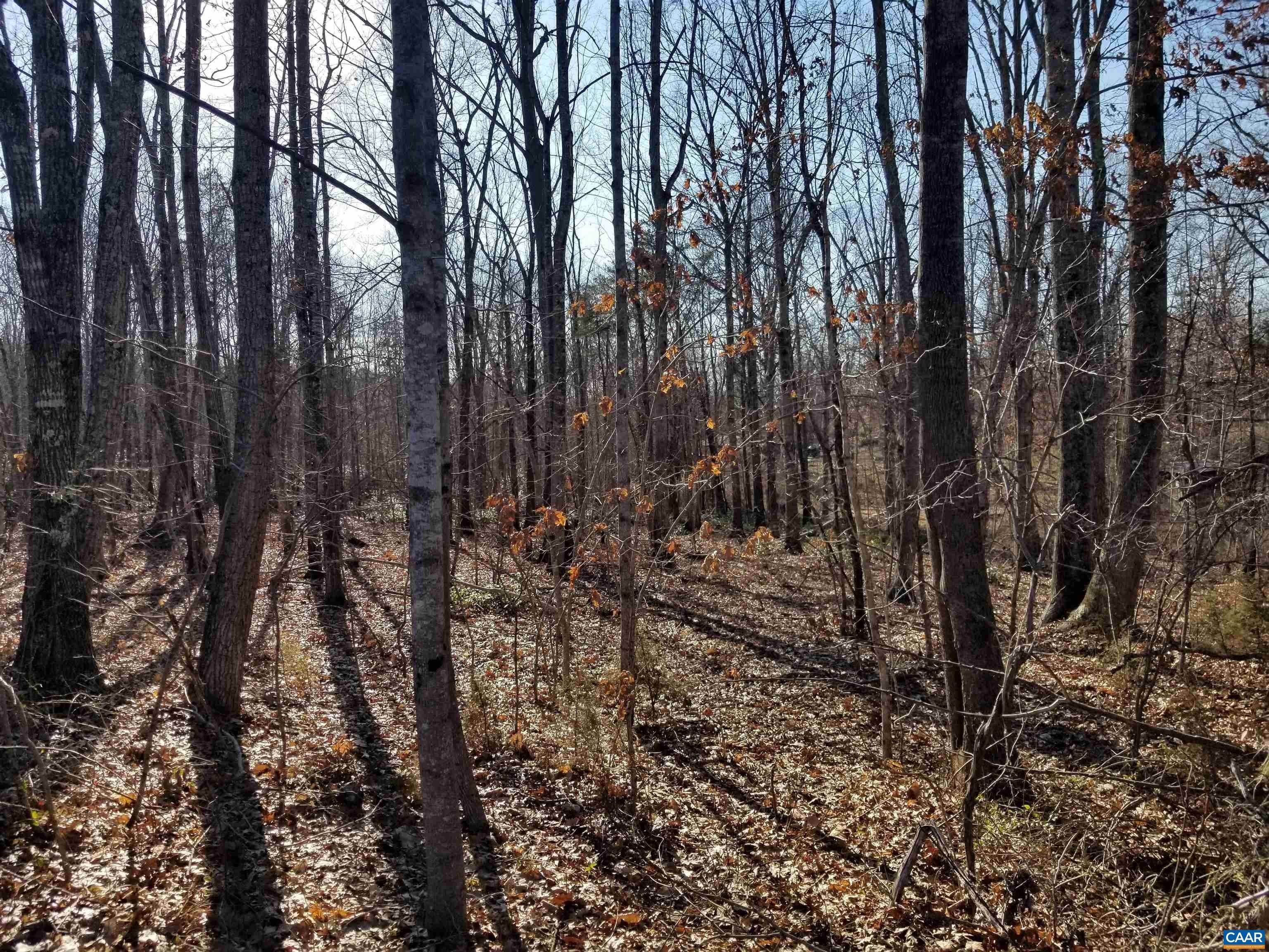 Land for Sale at 1741 RIDING CLUB Road Keene, Virginia 22946 United States