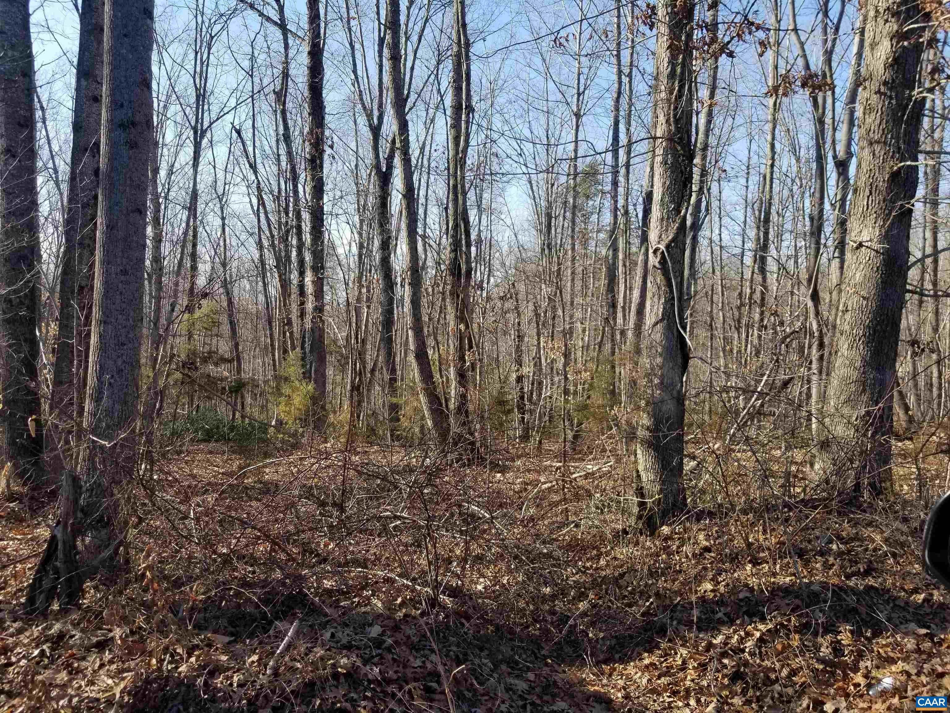 5. Land for Sale at 1741 RIDING CLUB Road Keene, Virginia 22946 United States