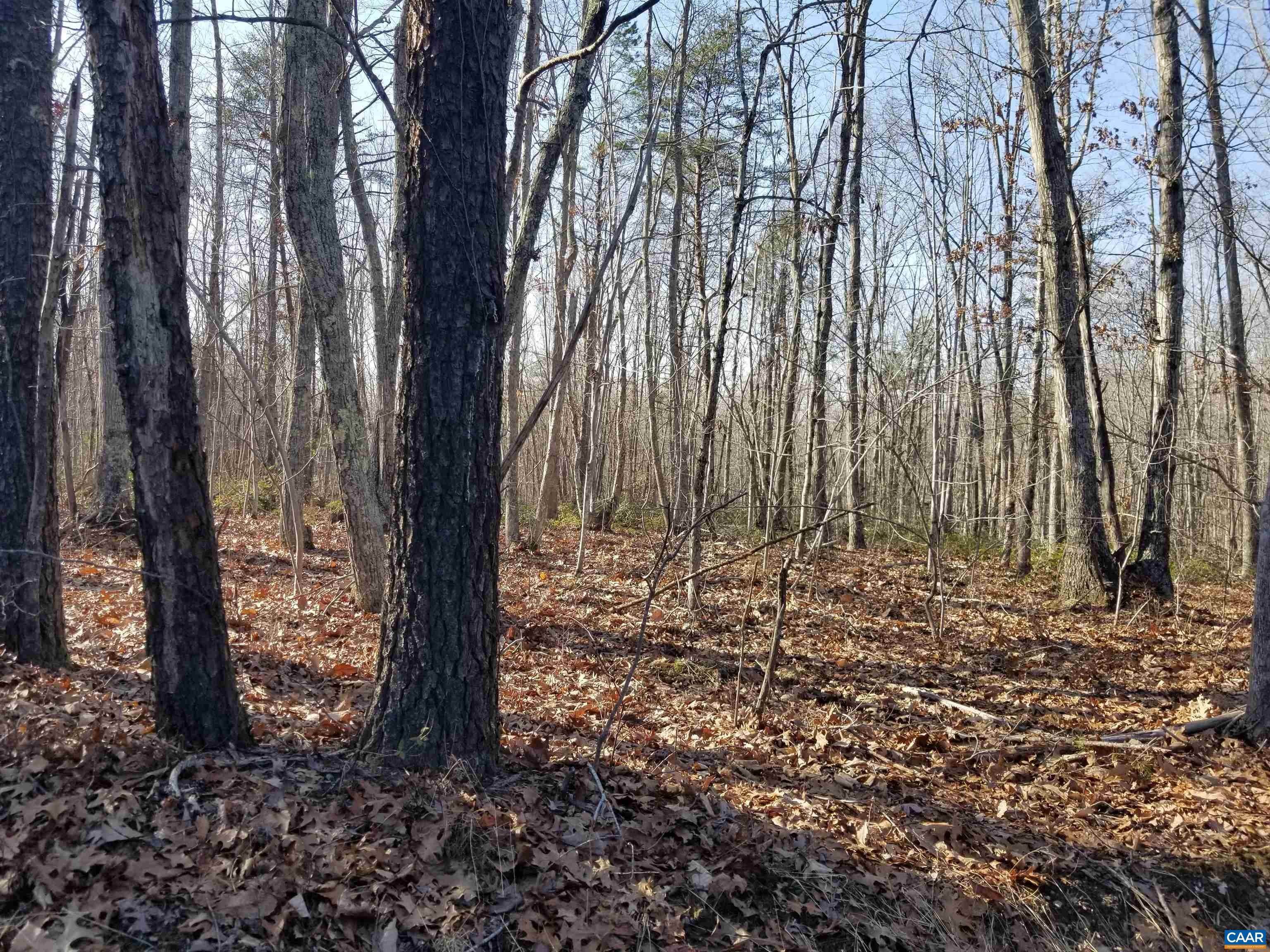 6. Land for Sale at 1741 RIDING CLUB Road Keene, Virginia 22946 United States