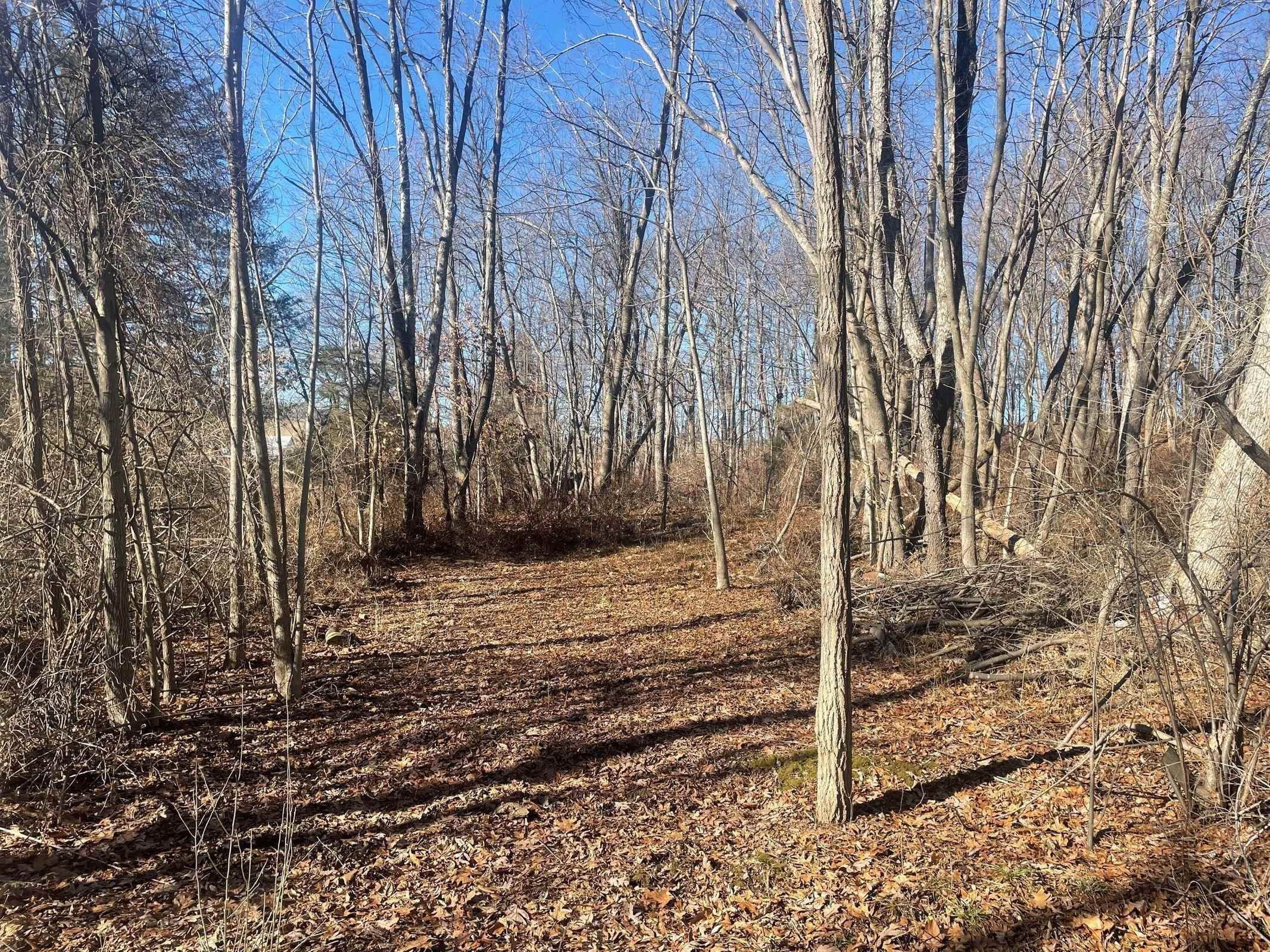 2. Land for Sale at PLEASANT VALLEY Road Raphine, Virginia 24472 United States