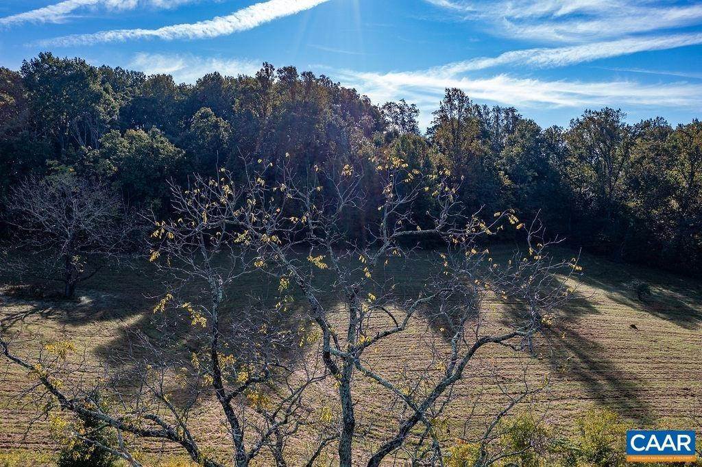 11. Land for Sale at TBD 2 CARTERS MOUNTAIN Road Charlottesville, Virginia 22902 United States