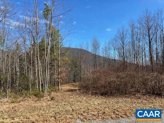 Land for Sale at TBD Nellysford, Virginia 22958 United States