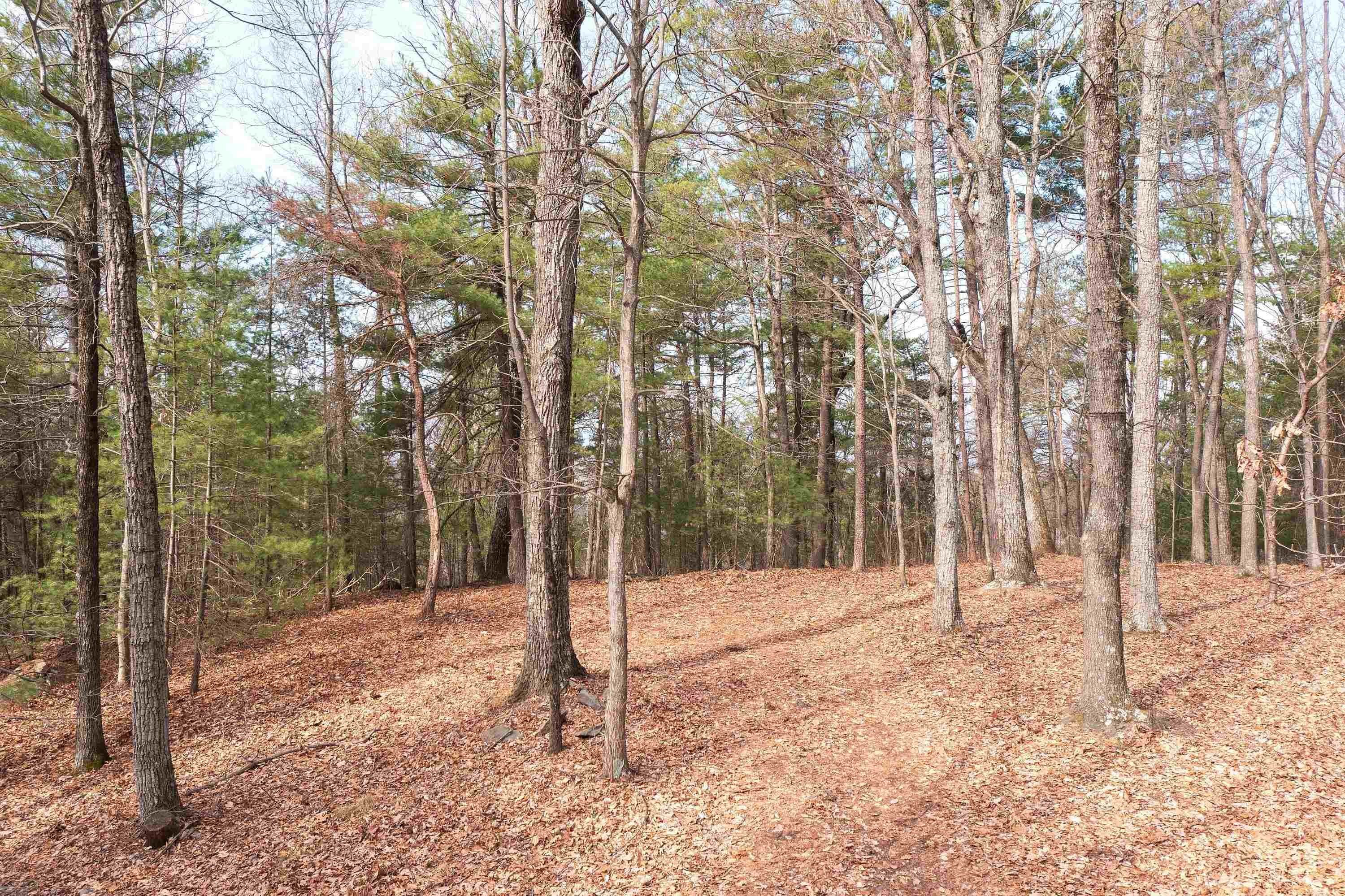14. Land for Sale at DRY RUN Road Luray, Virginia 22835 United States