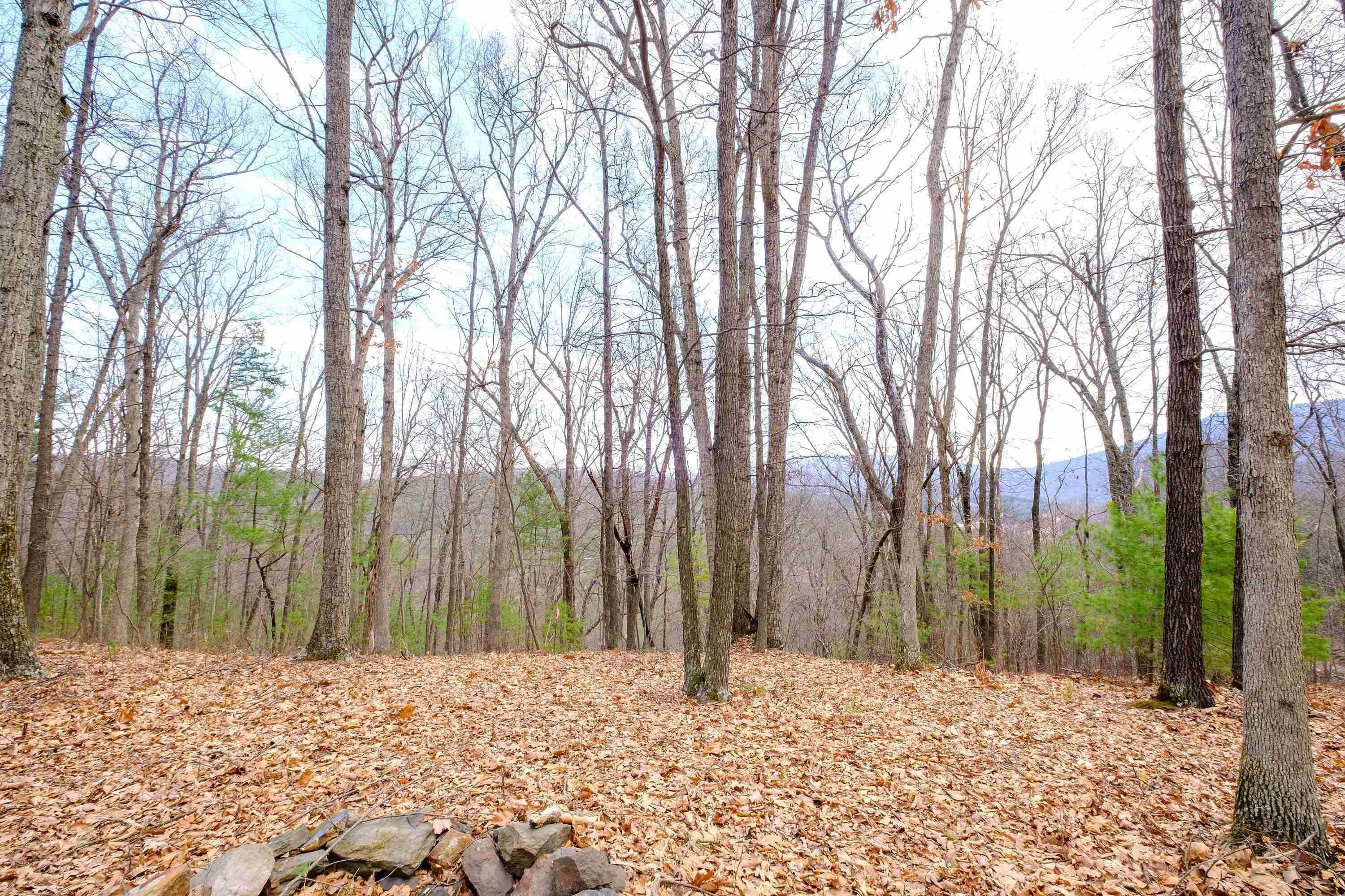 15. Land for Sale at DRY RUN Road Luray, Virginia 22835 United States