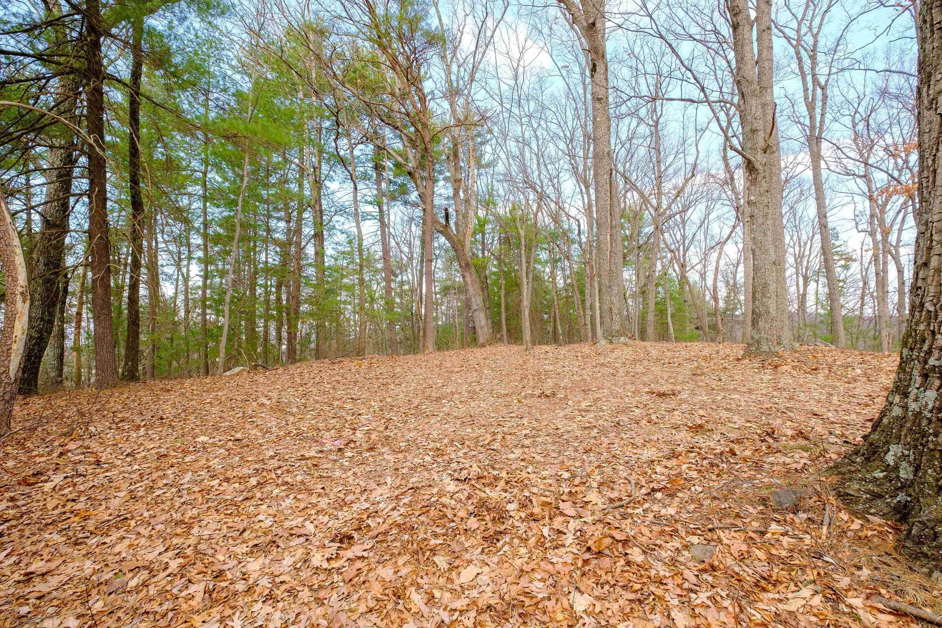 16. Land for Sale at DRY RUN Road Luray, Virginia 22835 United States