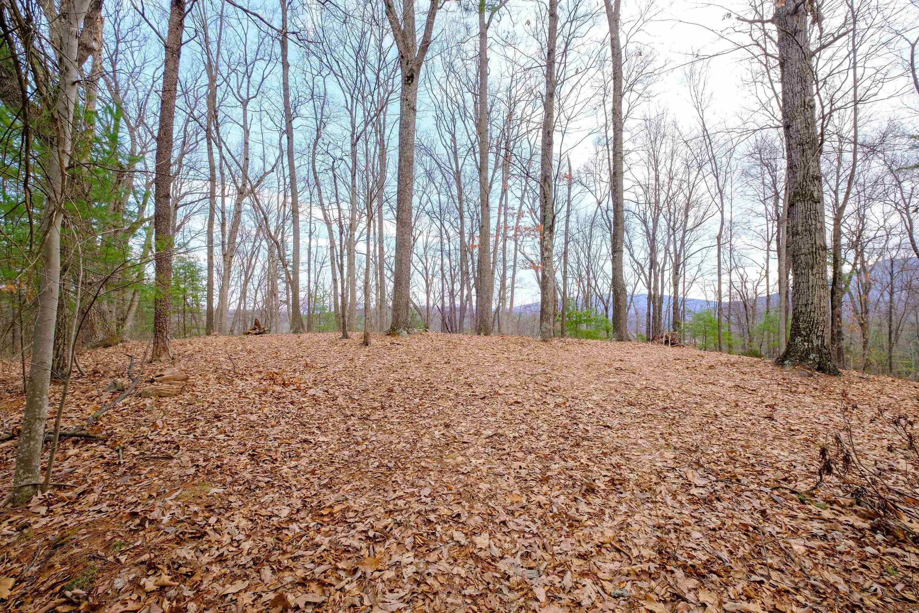 19. Land for Sale at DRY RUN Road Luray, Virginia 22835 United States
