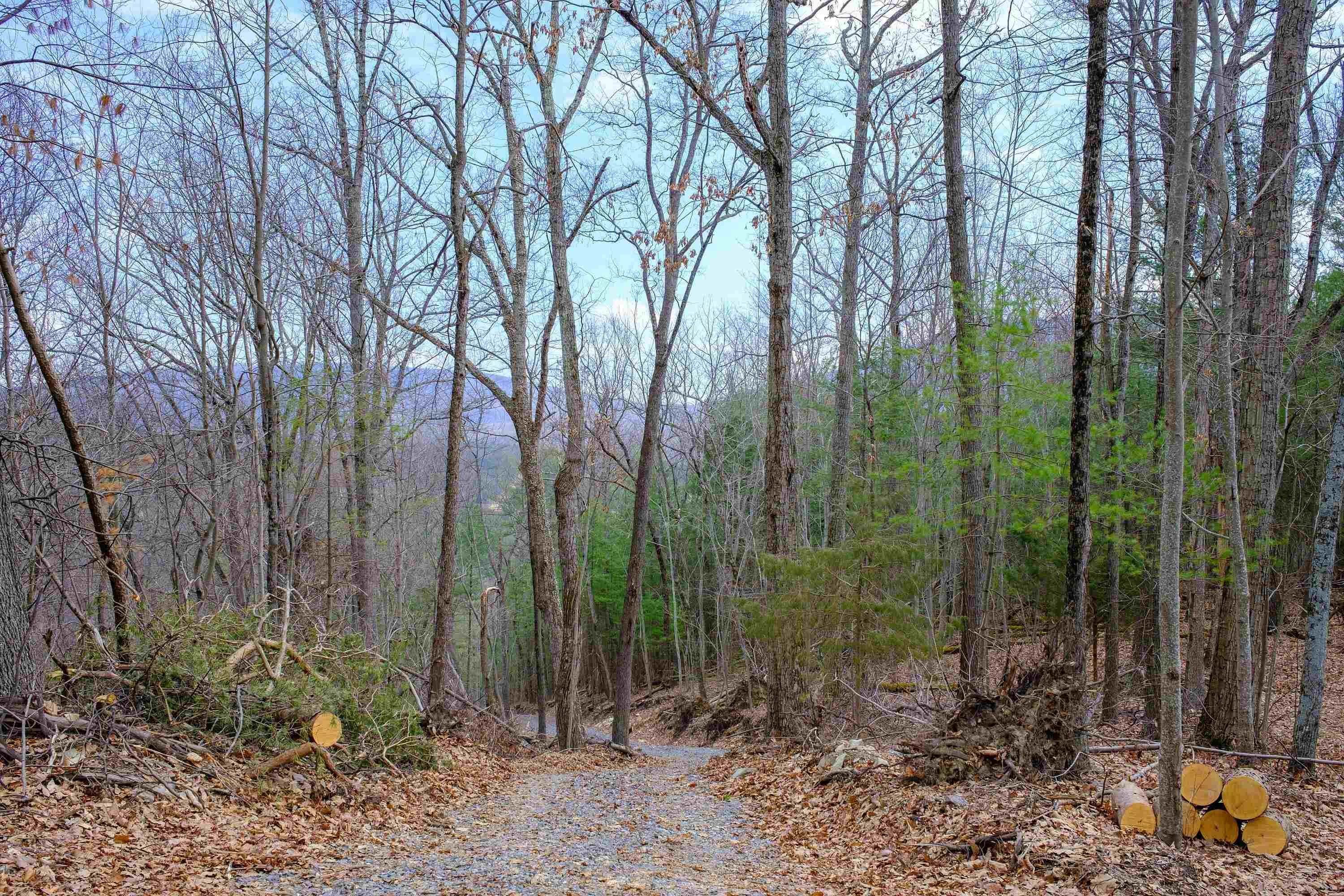 24. Land for Sale at DRY RUN Road Luray, Virginia 22835 United States
