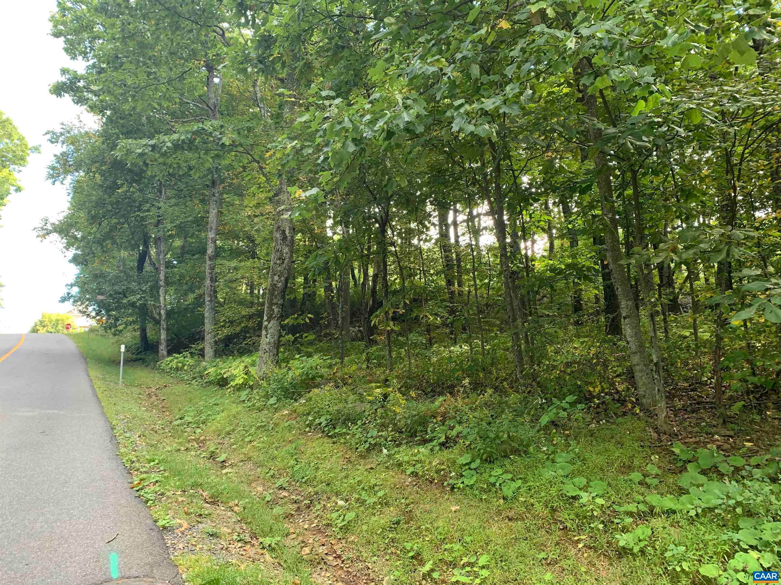6. Land for Sale at Lot #42 FAWN RIDGE Drive Roseland, Virginia 22967 United States