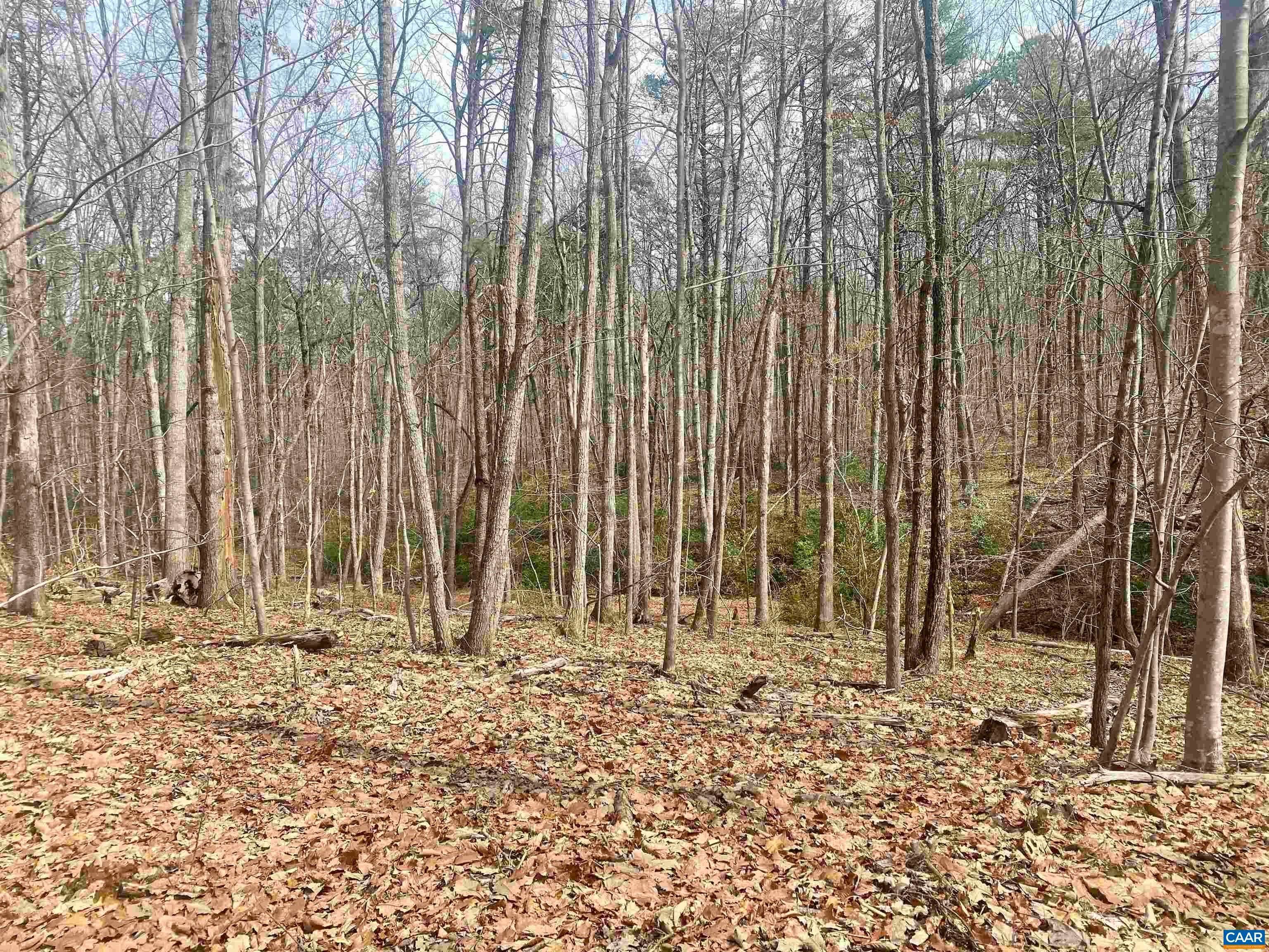 1. Land for Sale at Lot 45A BUCK ISLAND Road Charlottesville, Virginia 22902 United States