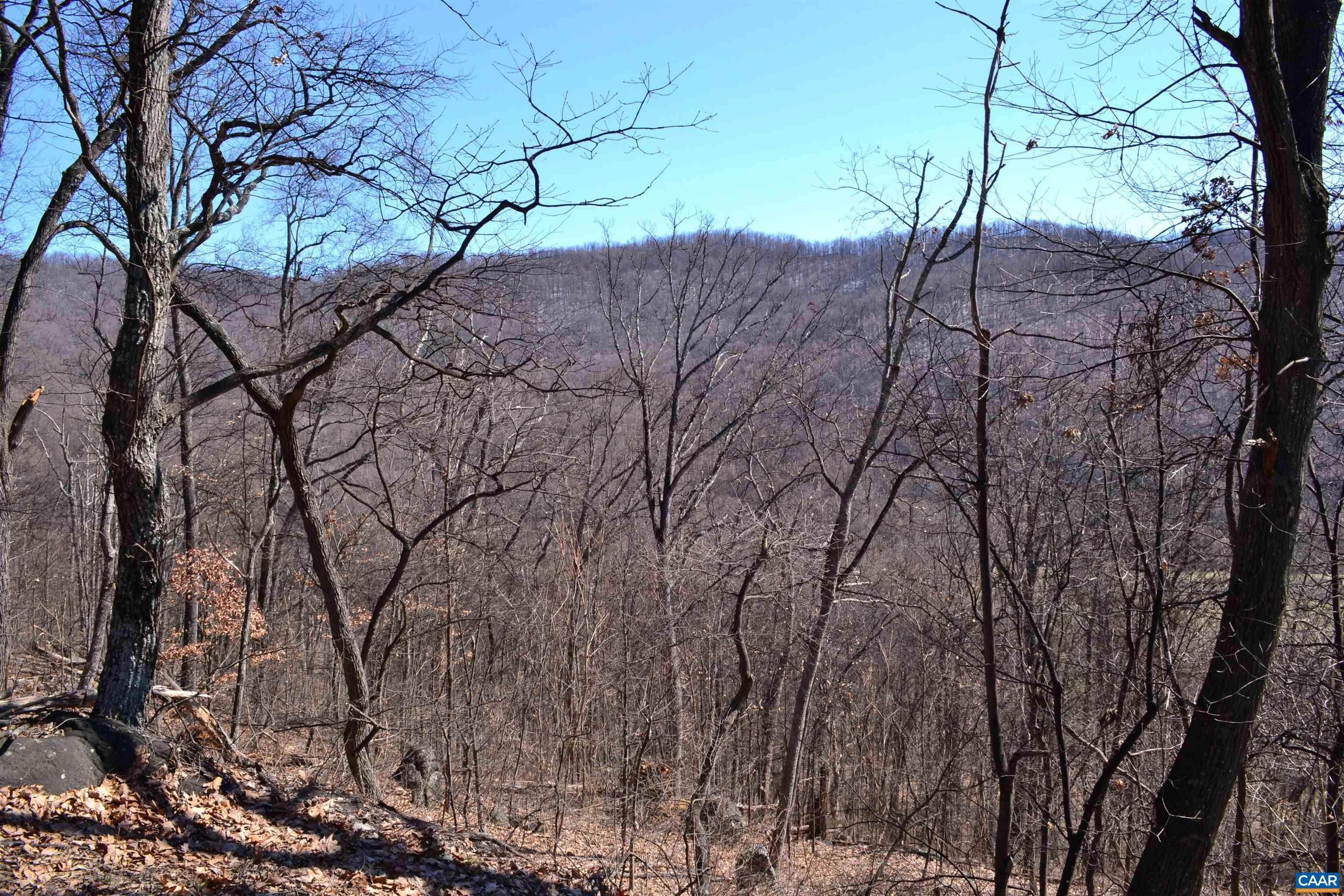 11. Land for Sale at 5885 BRUSH MOUNTAIN Trail Covesville, Virginia 22931 United States