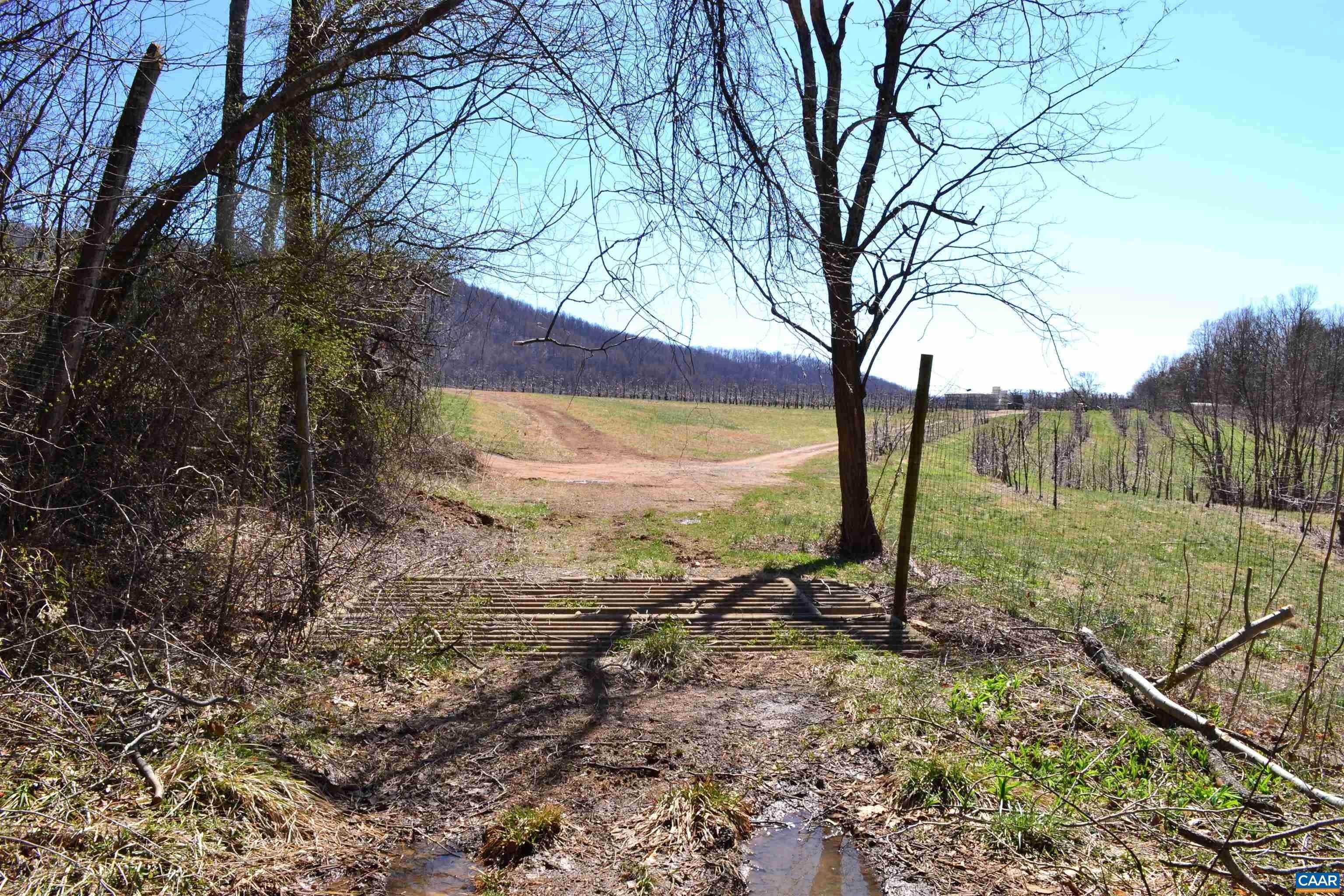 19. Land for Sale at 5885 BRUSH MOUNTAIN Trail Covesville, Virginia 22931 United States
