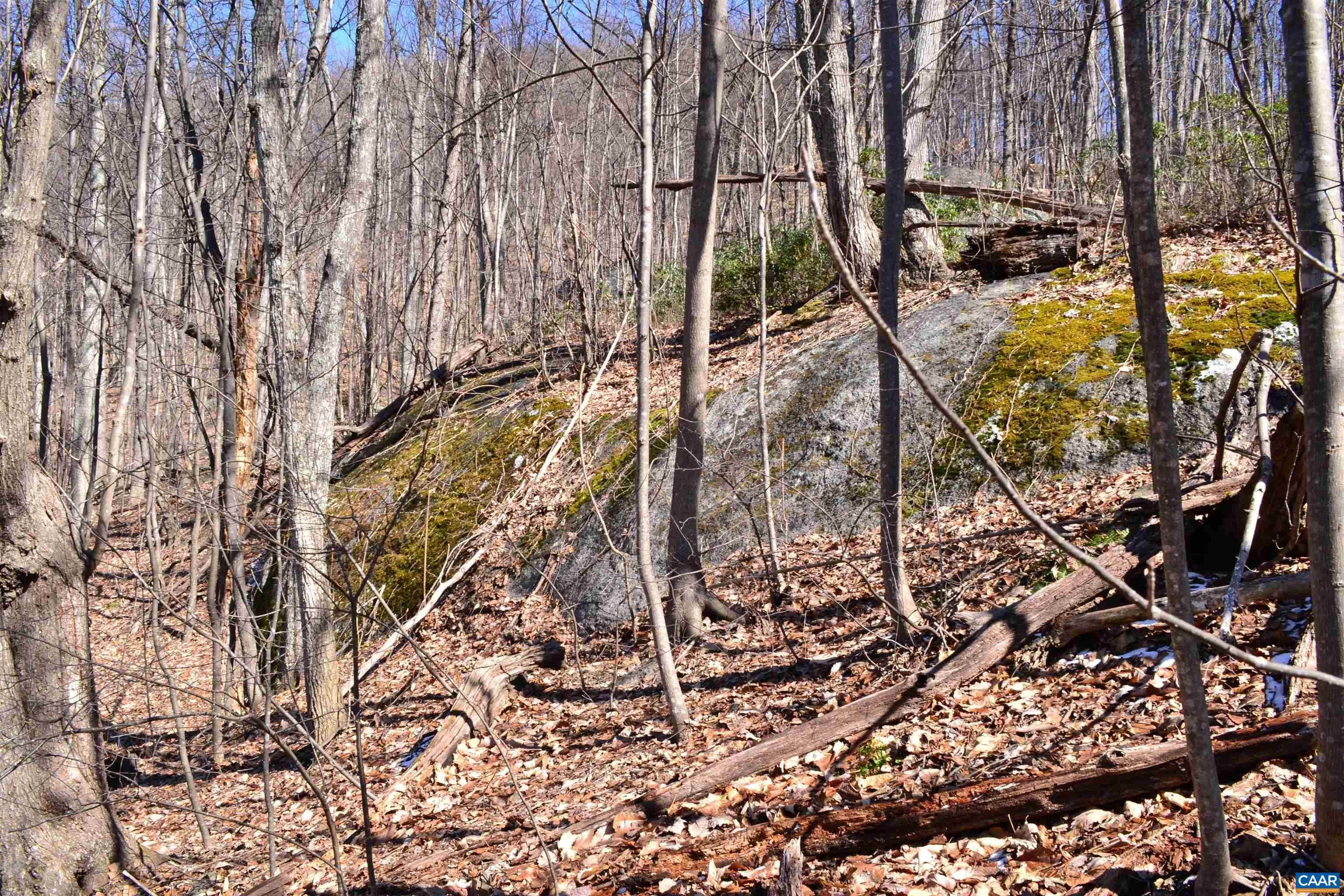 4. Land for Sale at 5885 BRUSH MOUNTAIN Trail Covesville, Virginia 22931 United States