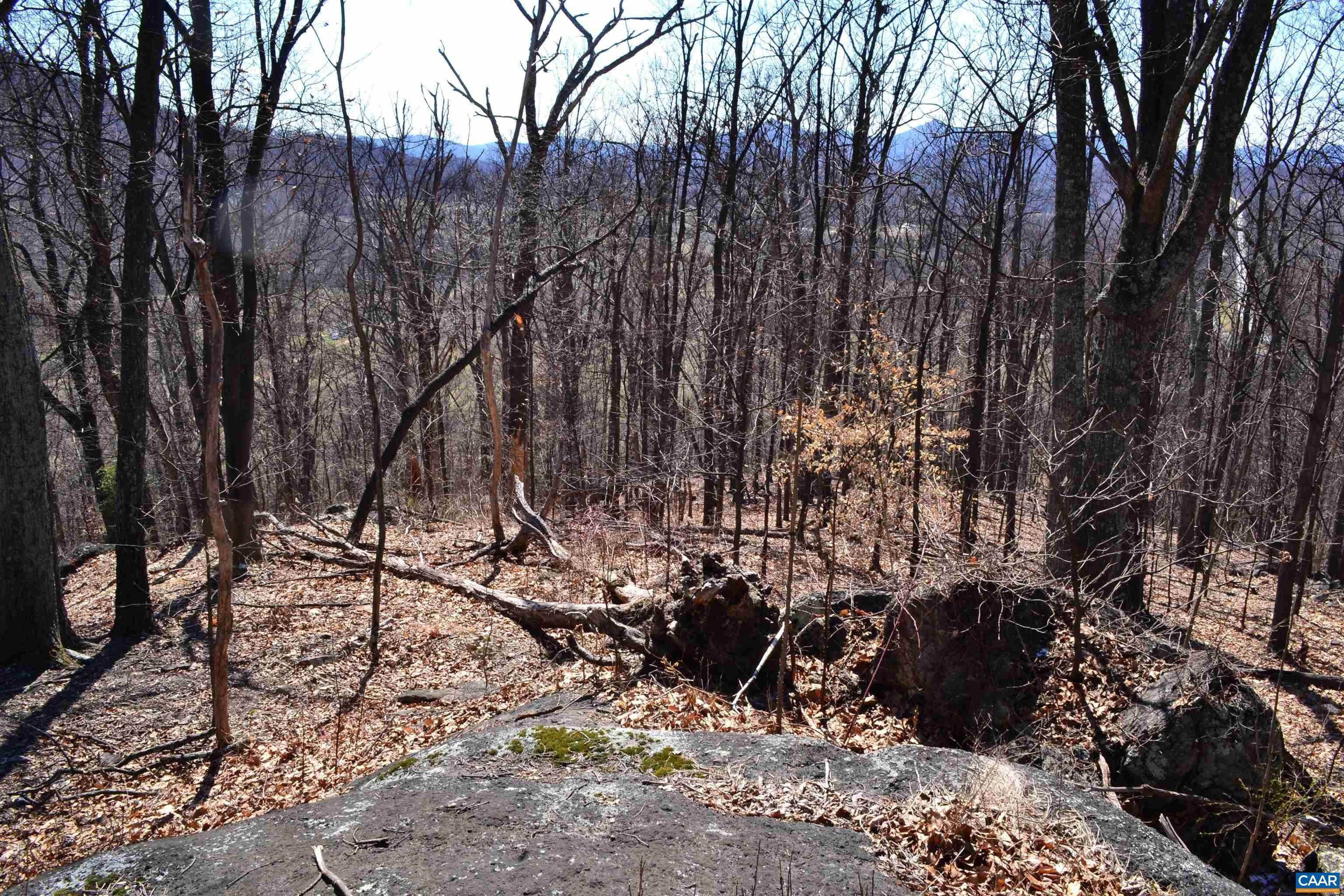 7. Land for Sale at 5885 BRUSH MOUNTAIN Trail Covesville, Virginia 22931 United States
