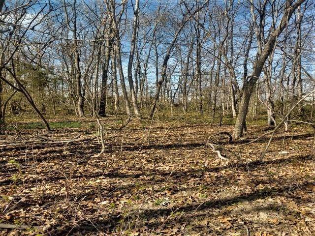 Land for Sale at TBD RIVERBEND Drive Luray, Virginia 22835 United States