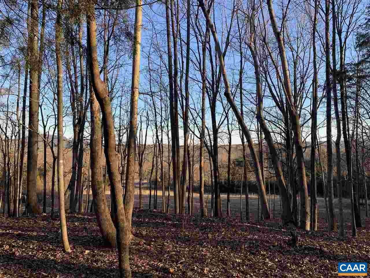 3. Land for Sale at Lot 2 and 3 VIA CREEK Drive Charlottesville, Virginia 22903 United States