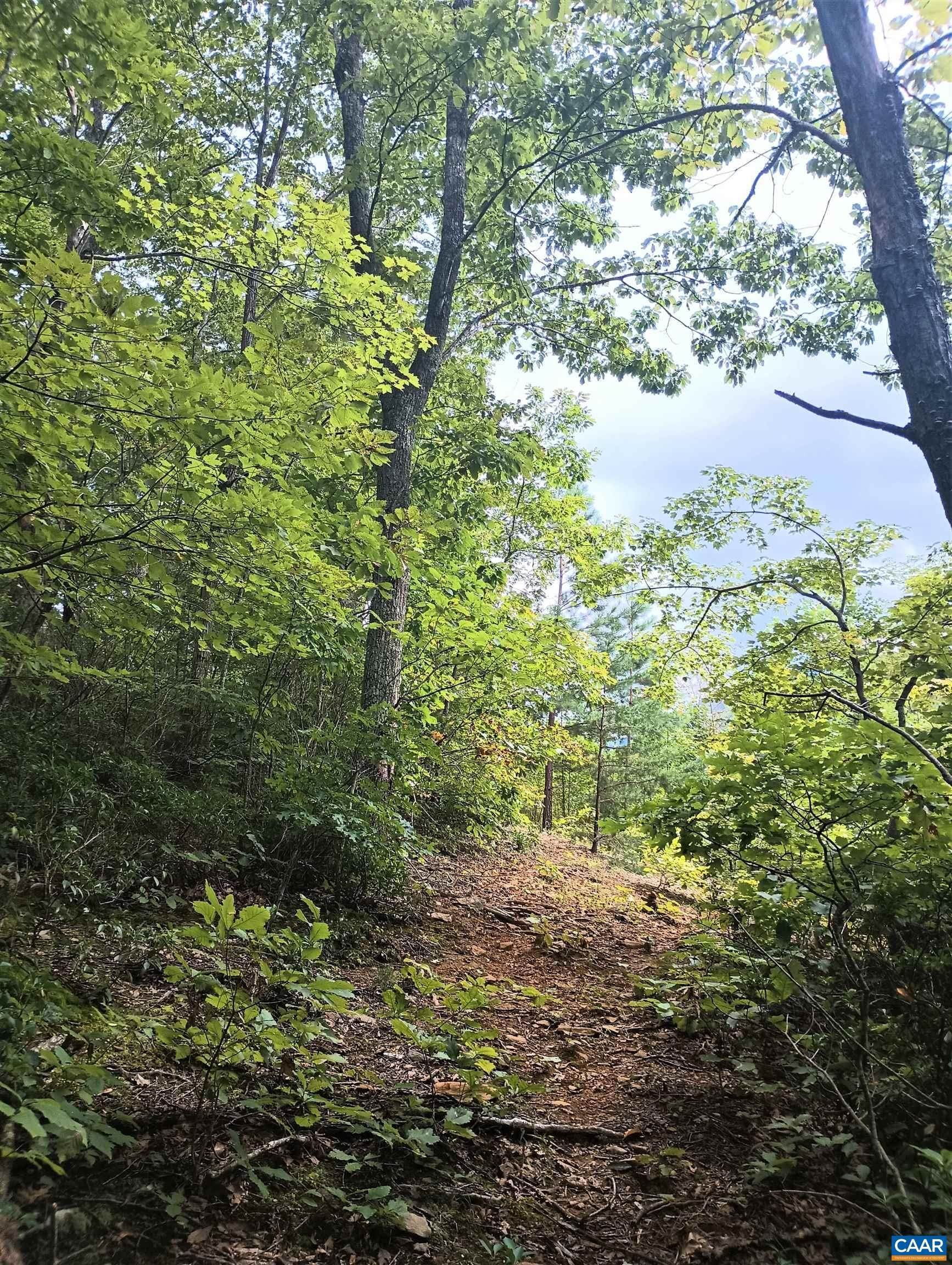 1. Land for Sale at Lot 1 ROCKFISH HEIGHTS Lane Nellysford, Virginia 22958 United States