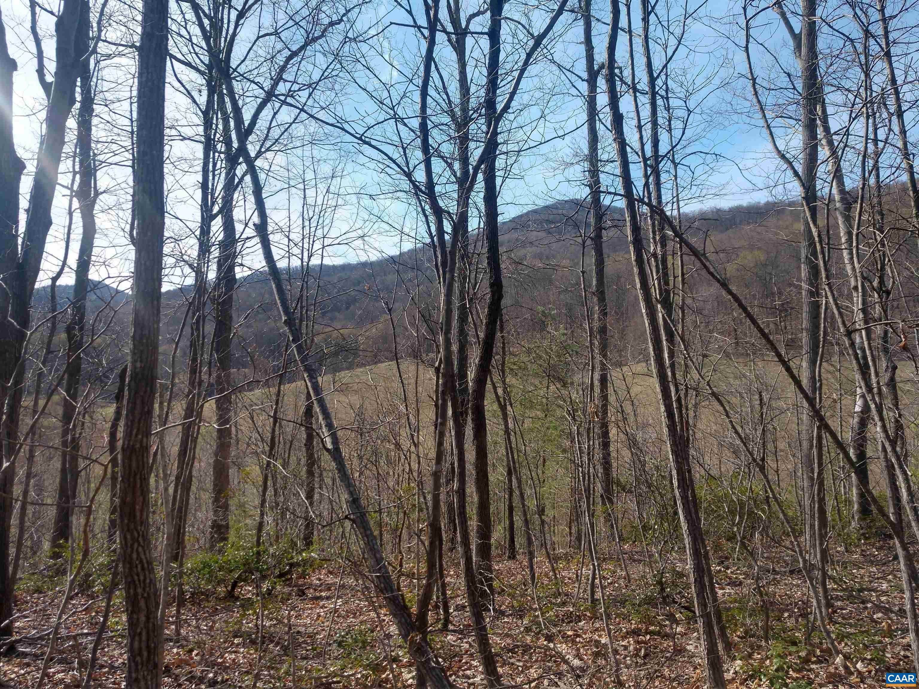 19. Land for Sale at Lot 1 ROCKFISH HEIGHTS Lane Nellysford, Virginia 22958 United States