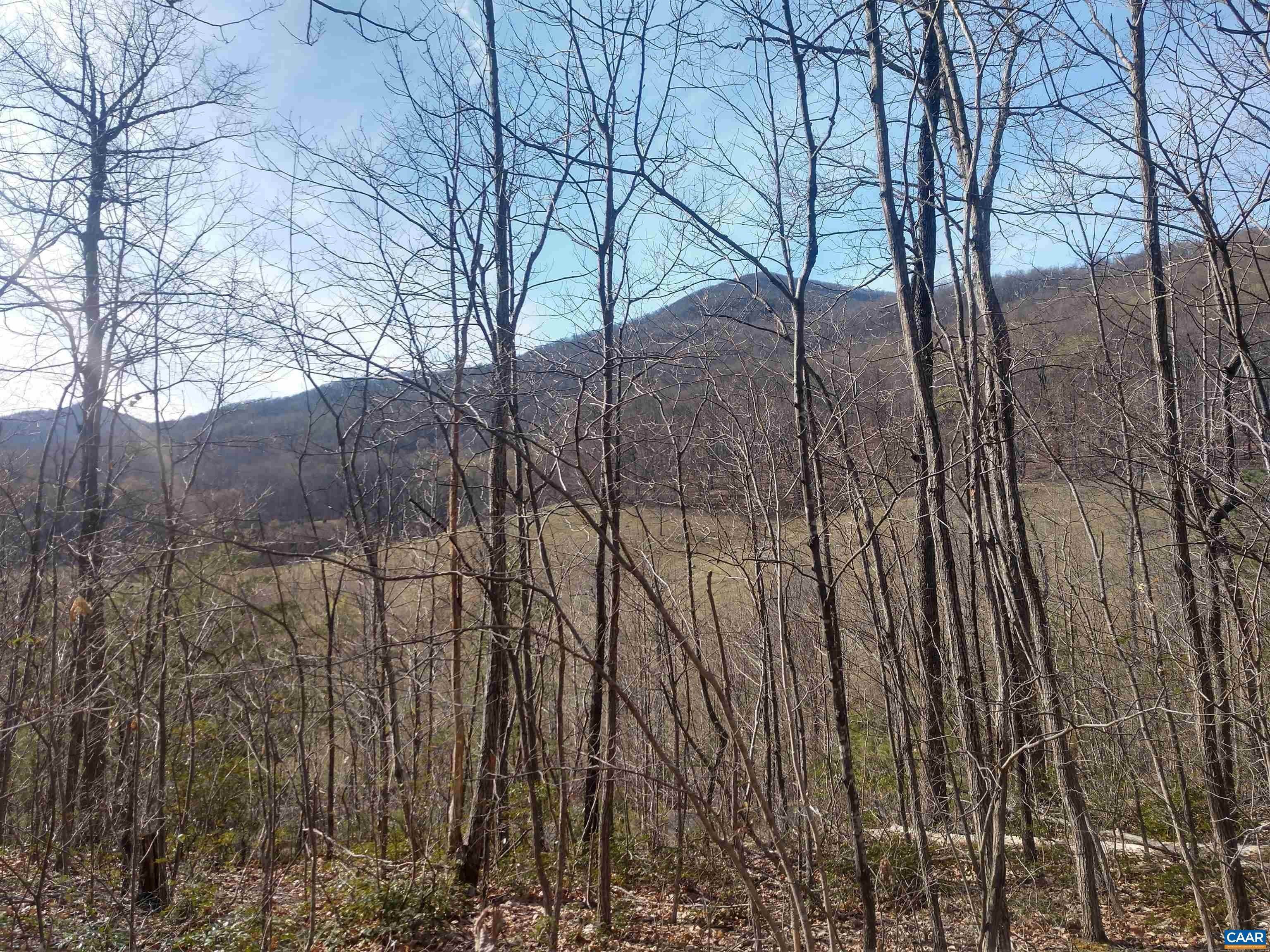 21. Land for Sale at Lot 1 ROCKFISH HEIGHTS Lane Nellysford, Virginia 22958 United States