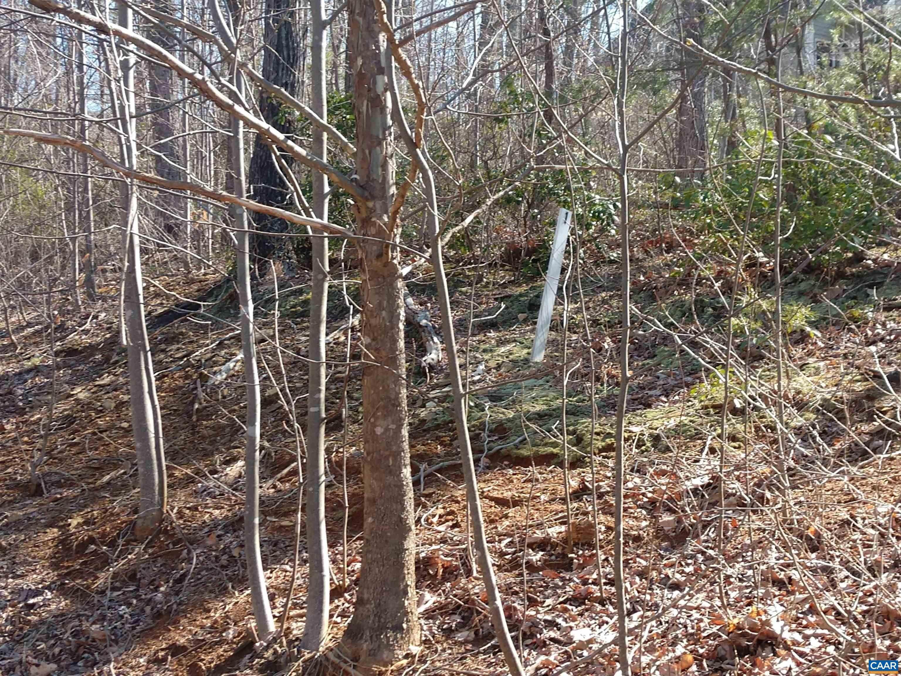22. Land for Sale at Lot 1 ROCKFISH HEIGHTS Lane Nellysford, Virginia 22958 United States