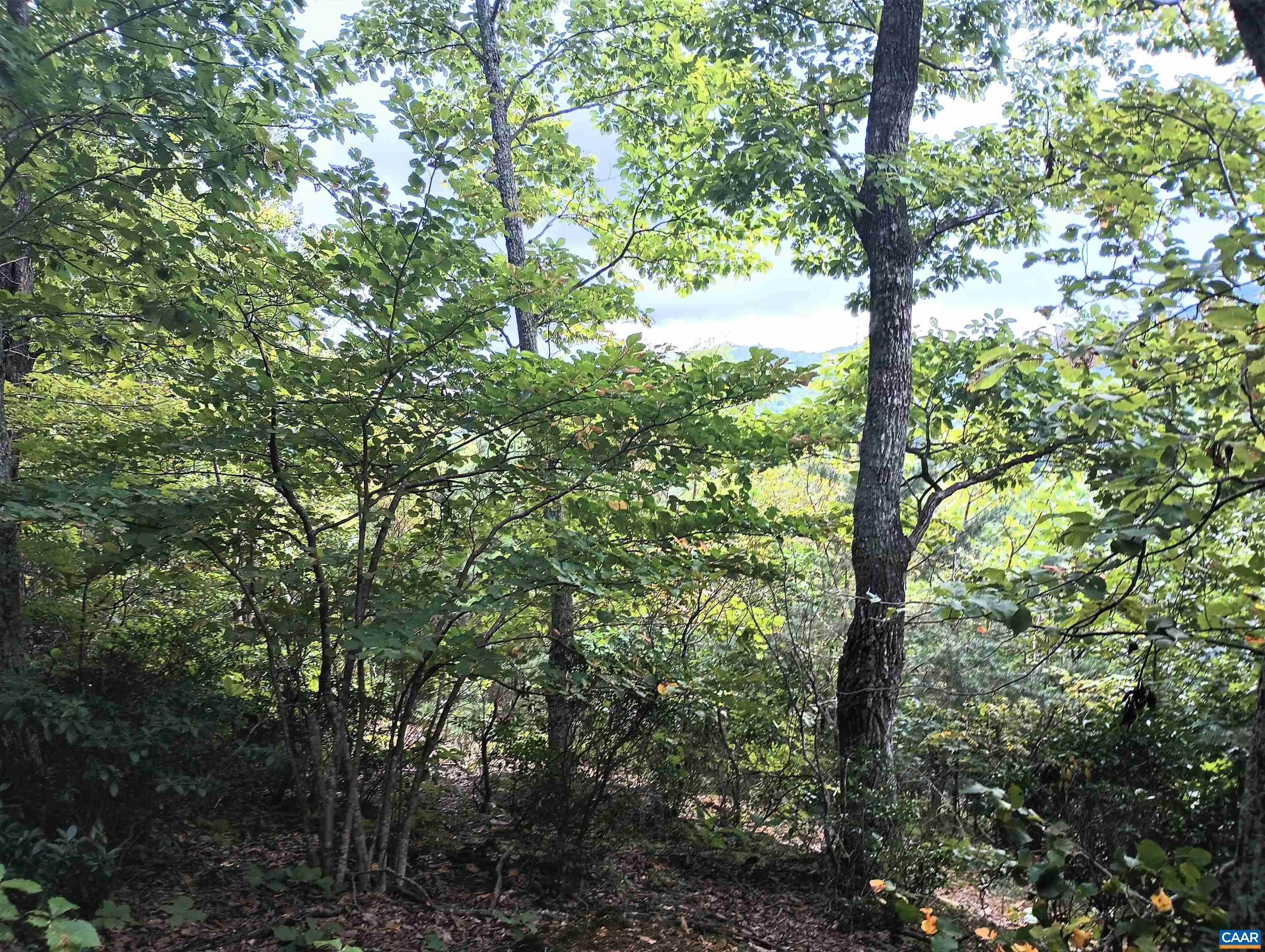 4. Land for Sale at Lot 1 ROCKFISH HEIGHTS Lane Nellysford, Virginia 22958 United States