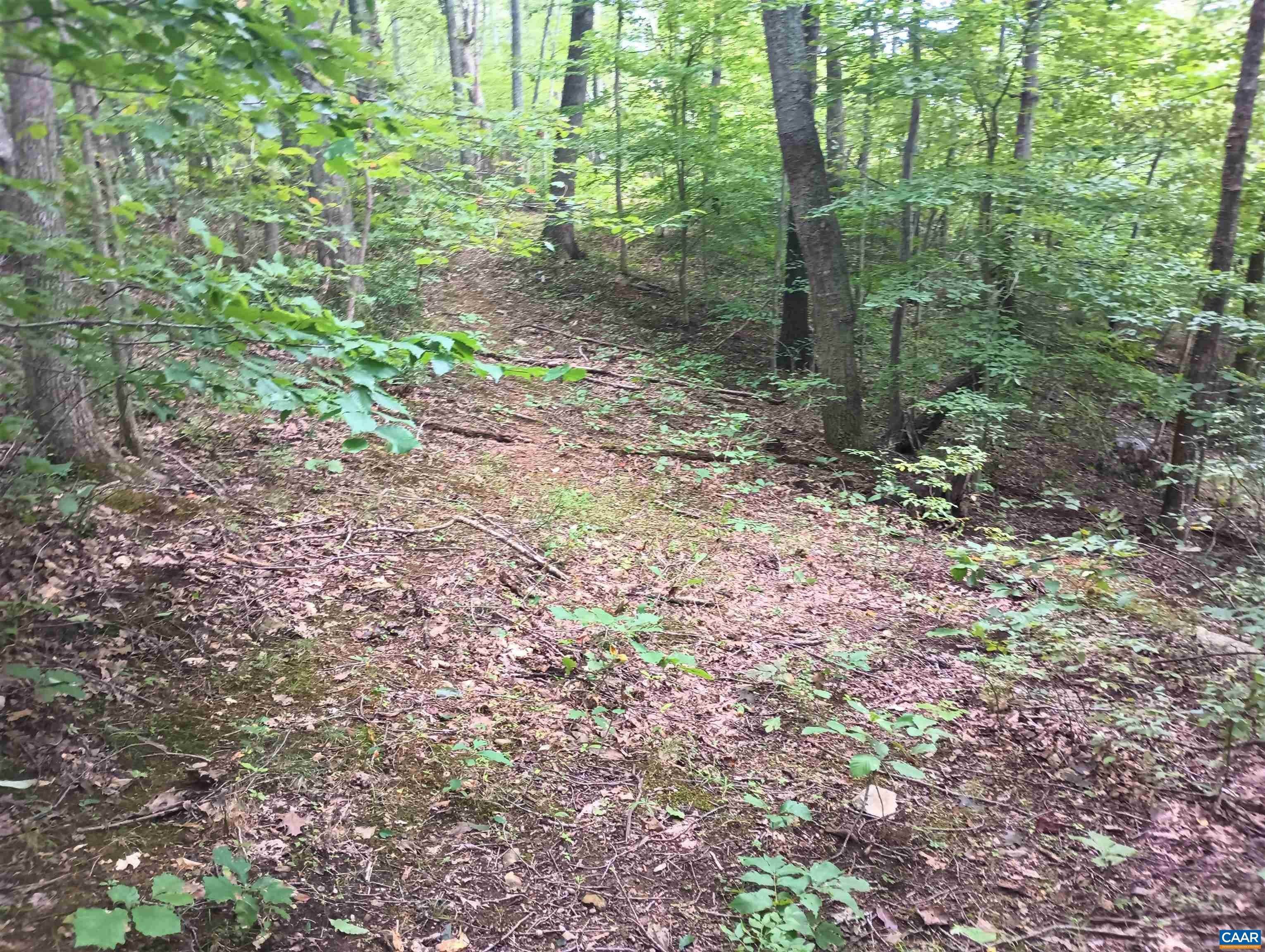 5. Land for Sale at Lot 1 ROCKFISH HEIGHTS Lane Nellysford, Virginia 22958 United States